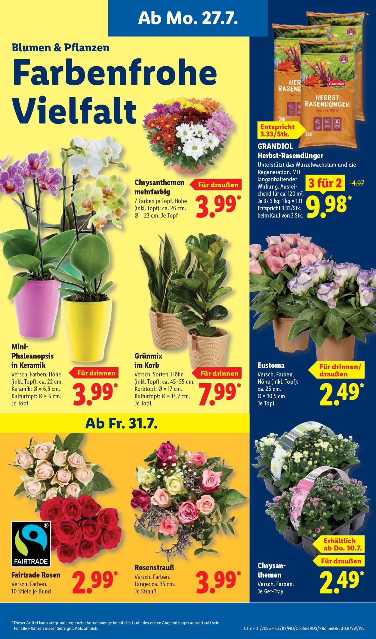 LIDL Prospekt - Ab Montag 27.07.2026