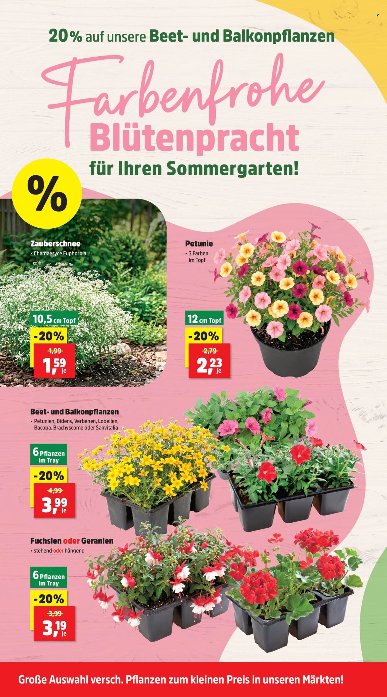 THOMAS PHILIPPS Prospekt - KW 24