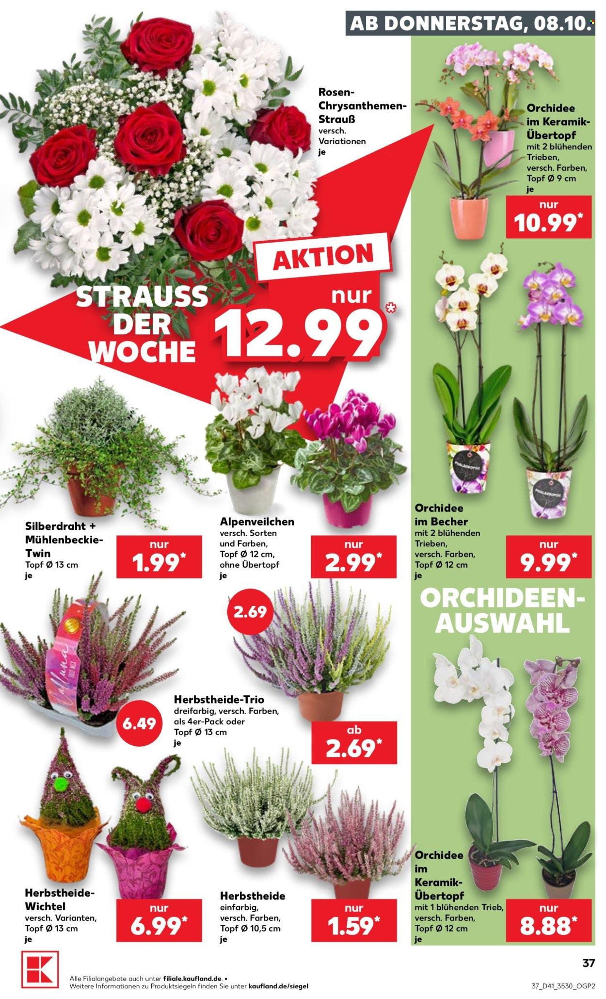 KAUFLAND Prospekt - Ab Donnerstag 8.10.2026