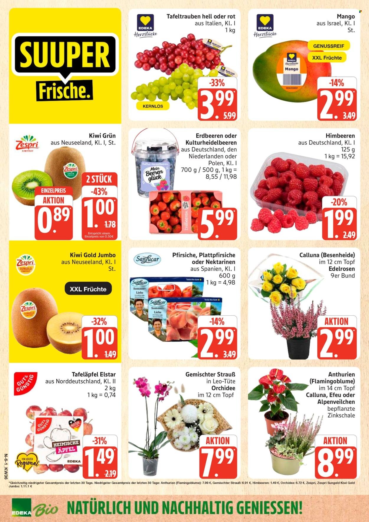 MARKTKAUF Prospekt - Ab Montag 31.08.2026