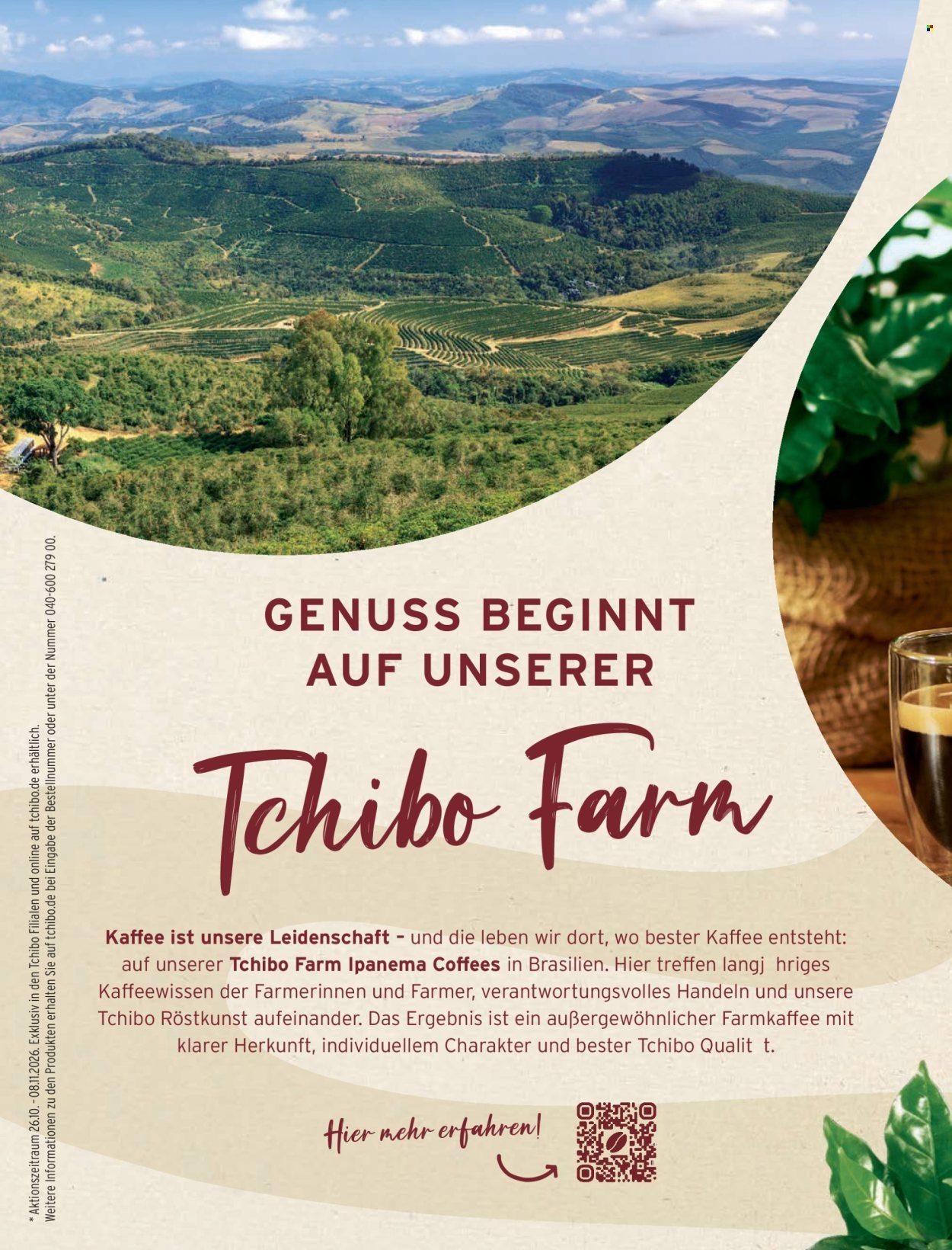 TCHIBO Prospekt - November 2026