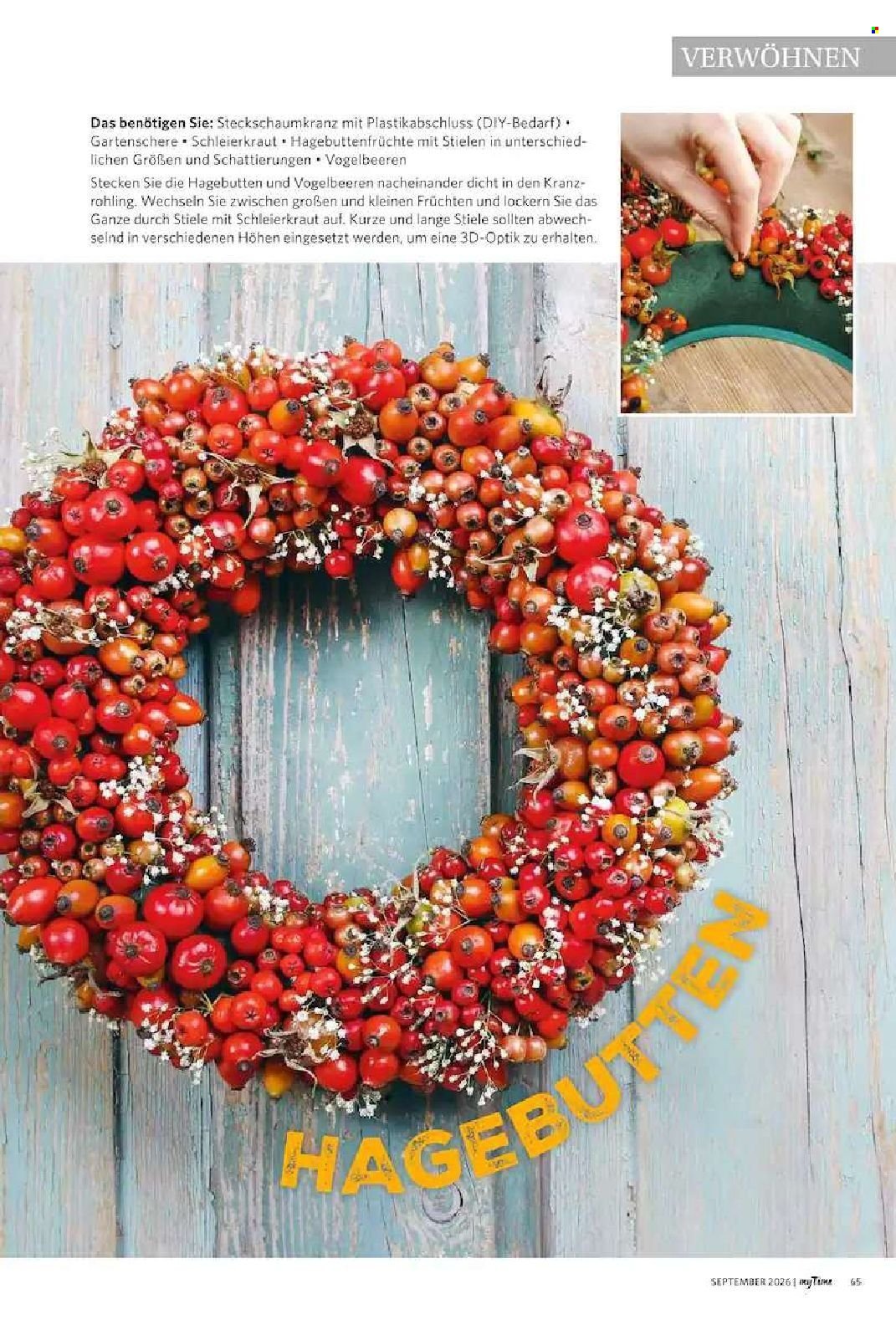 COMBI Prospekt - myTime Magazin