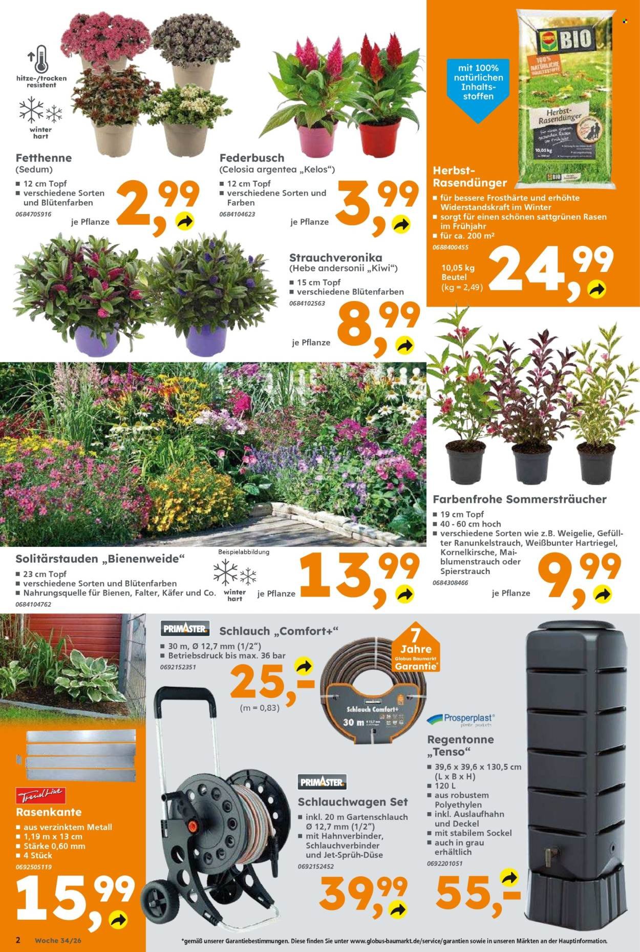 GLOBUS BAUMARKT Prospekt - Ab Montag 17.08.2026