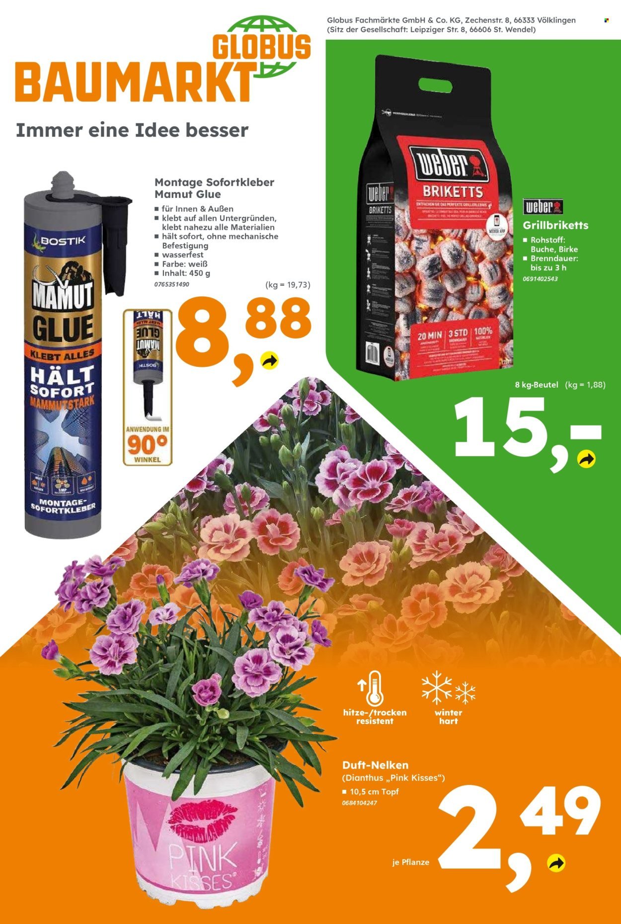 GLOBUS BAUMARKT Prospekt - Ab Montag 17.08.2026