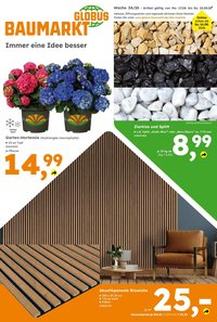 GLOBUS BAUMARKT Prospekt - Ab Montag 17.08.2026