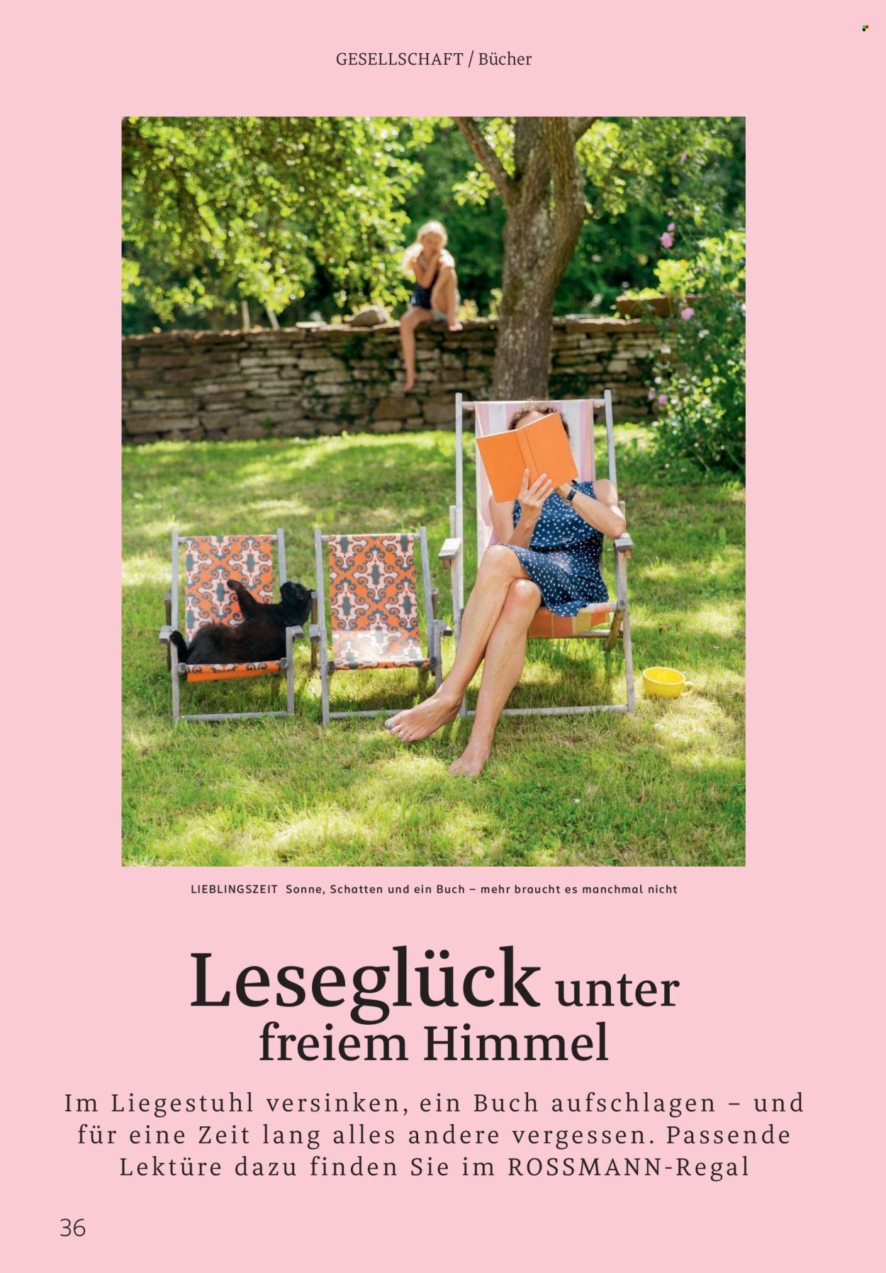 ROSSMANN Prospekt - Centaur