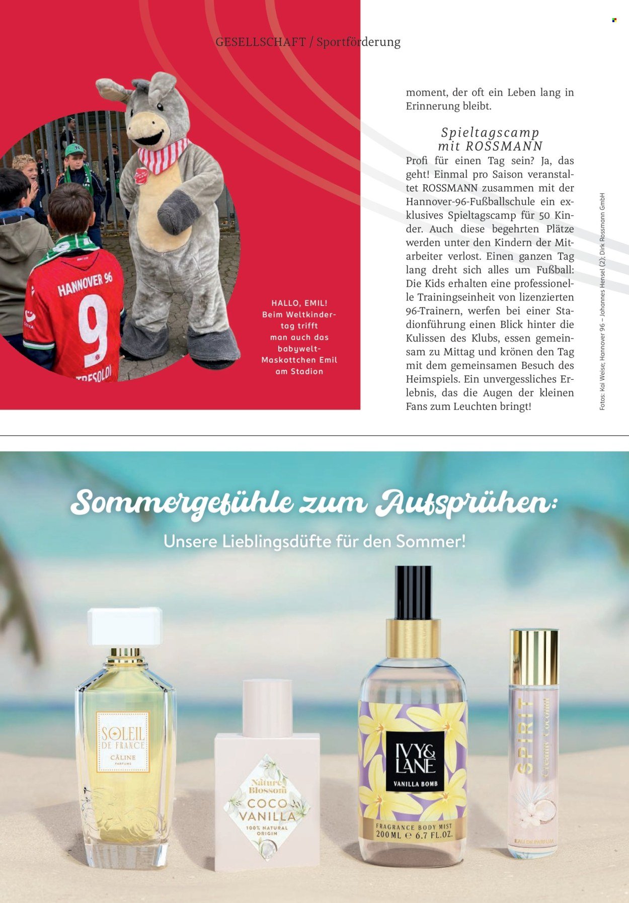 ROSSMANN Prospekt - Centaur