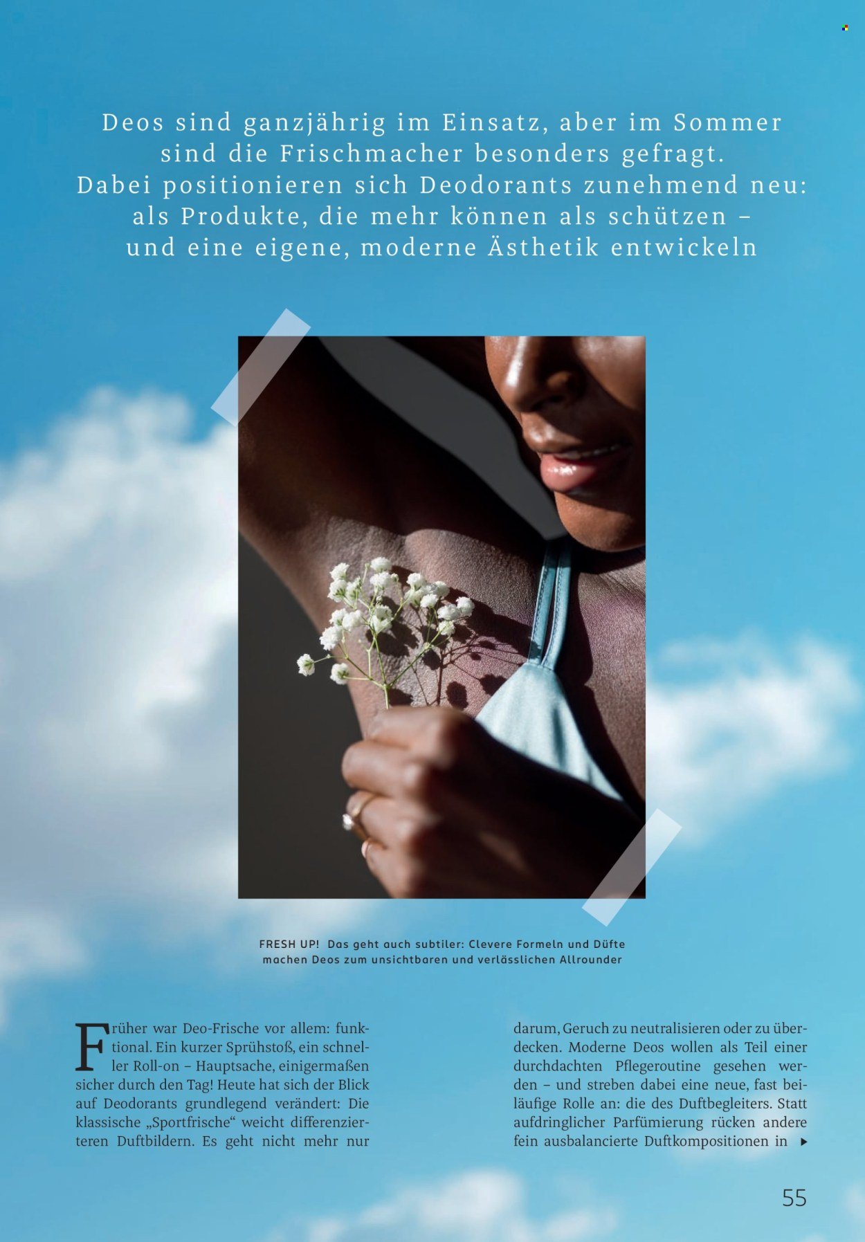 ROSSMANN Prospekt - Centaur