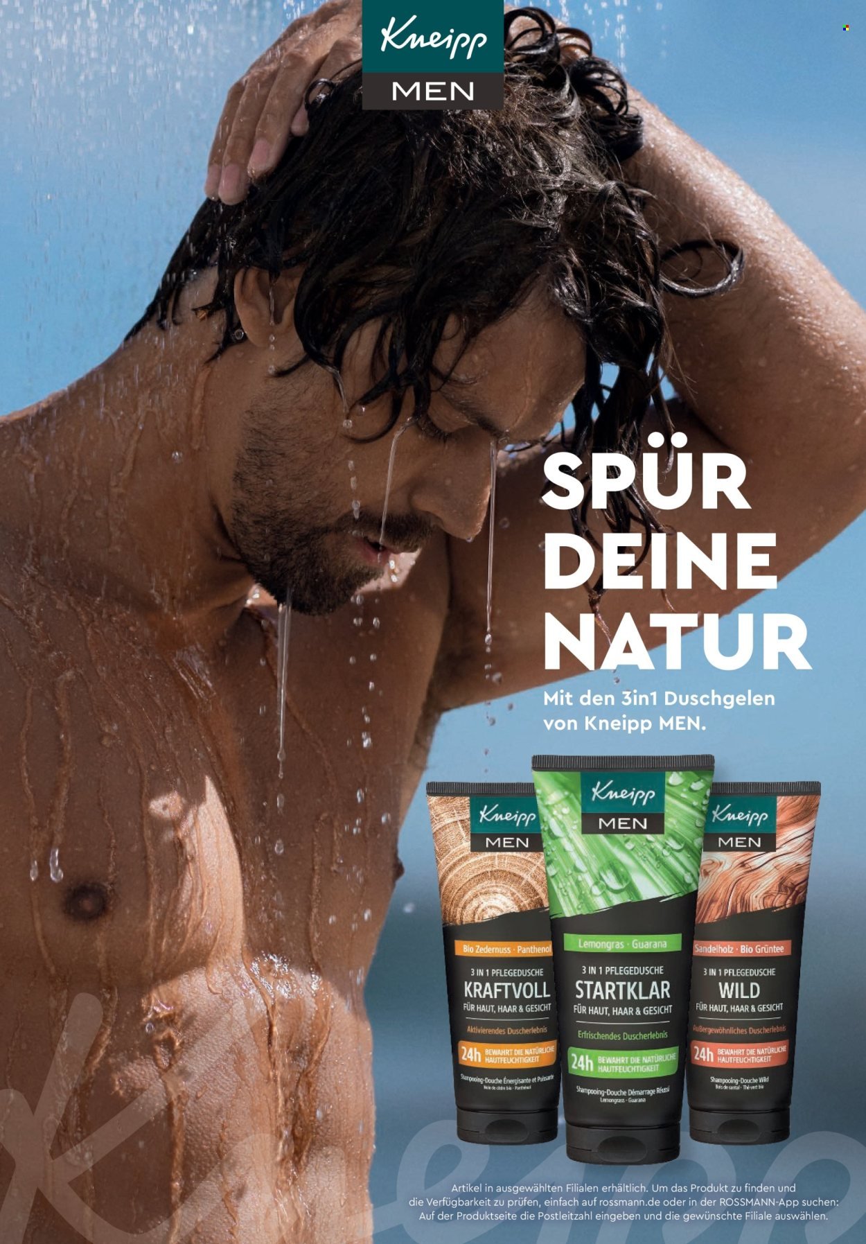 ROSSMANN Prospekt - Centaur