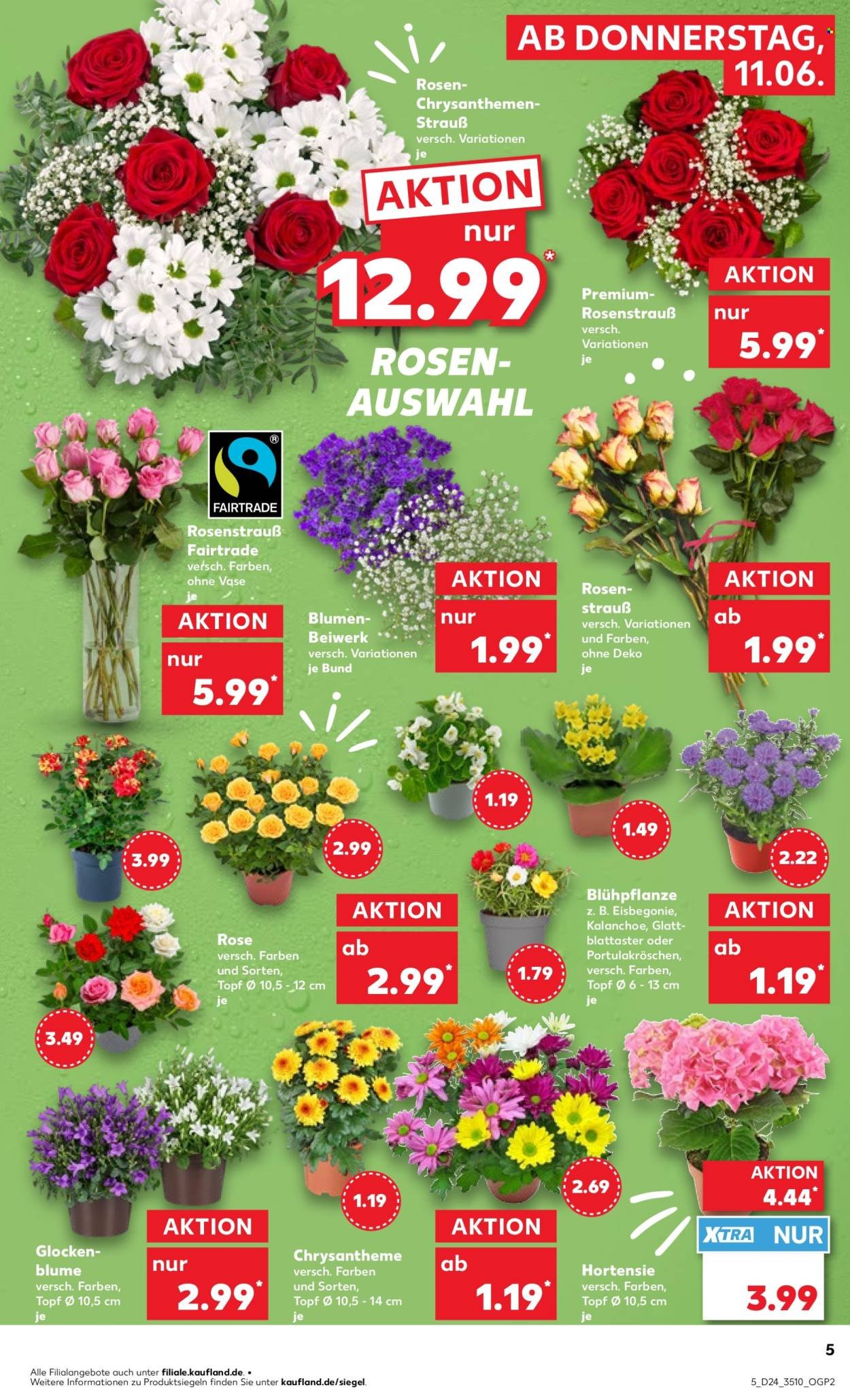 KAUFLAND Prospekt - Ab Donnerstag 11.06.2026