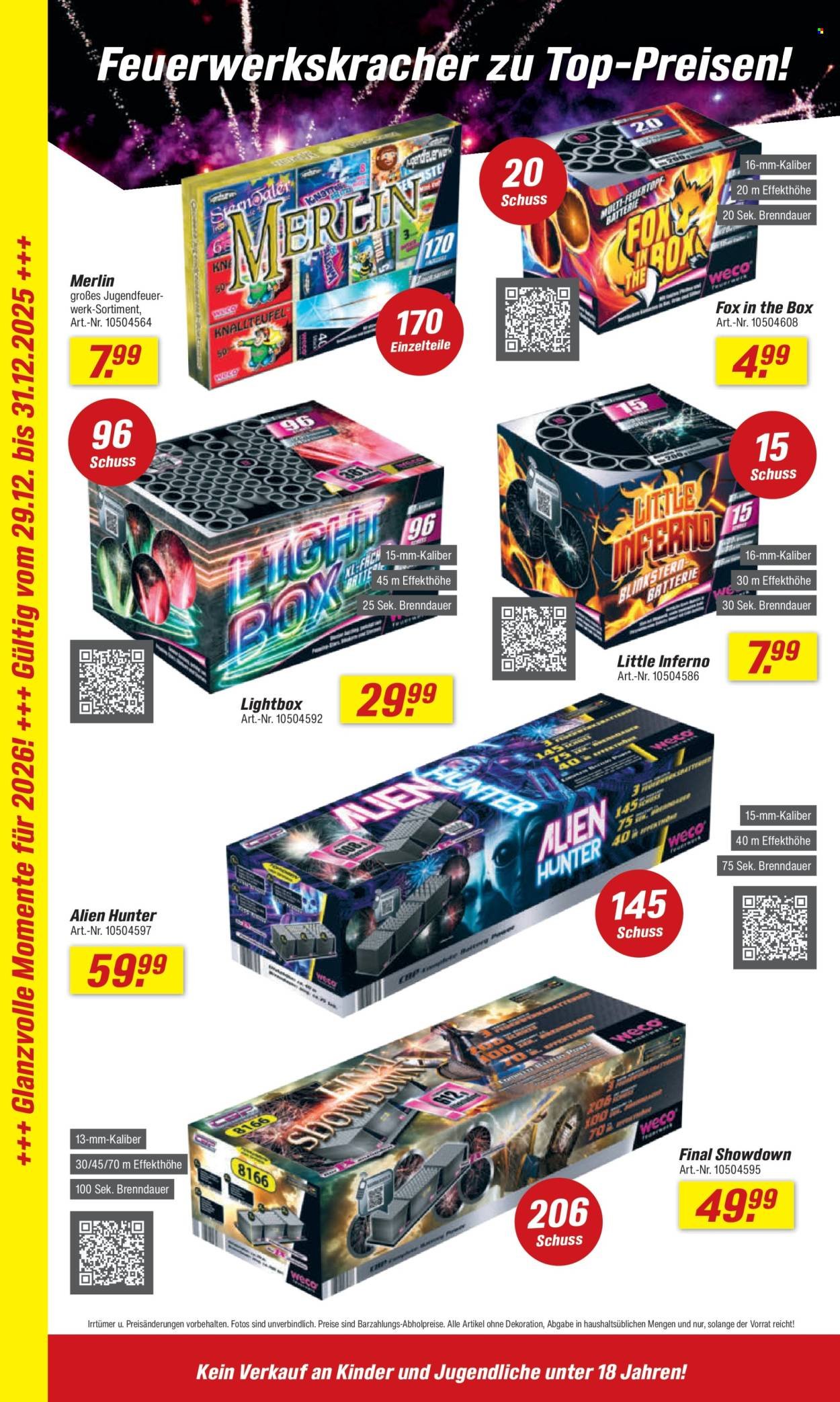 TOOM BAUMARKT Prospekt - Ab Samstag 27.12.2025