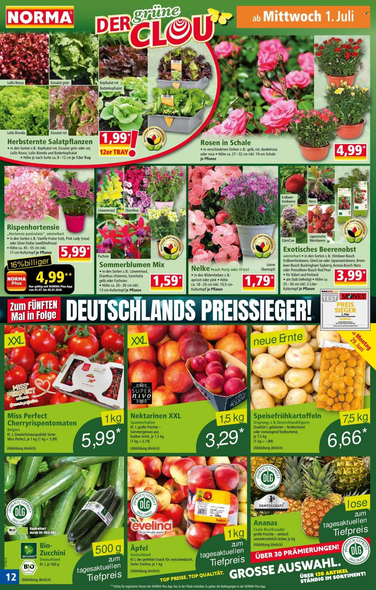 NORMA Prospekt - Ab Montag 29.06.2026