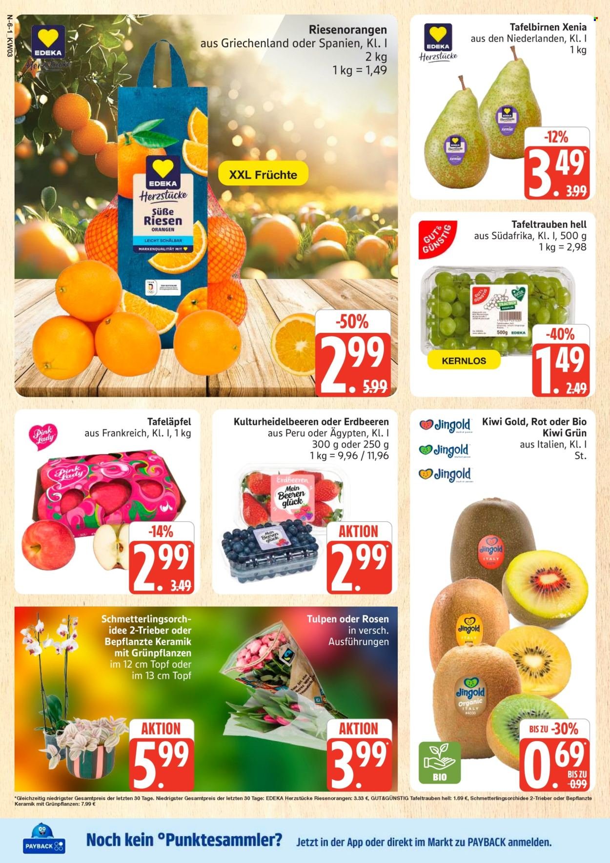 MARKTKAUF Prospekt - Ab Montag 12.01.2026