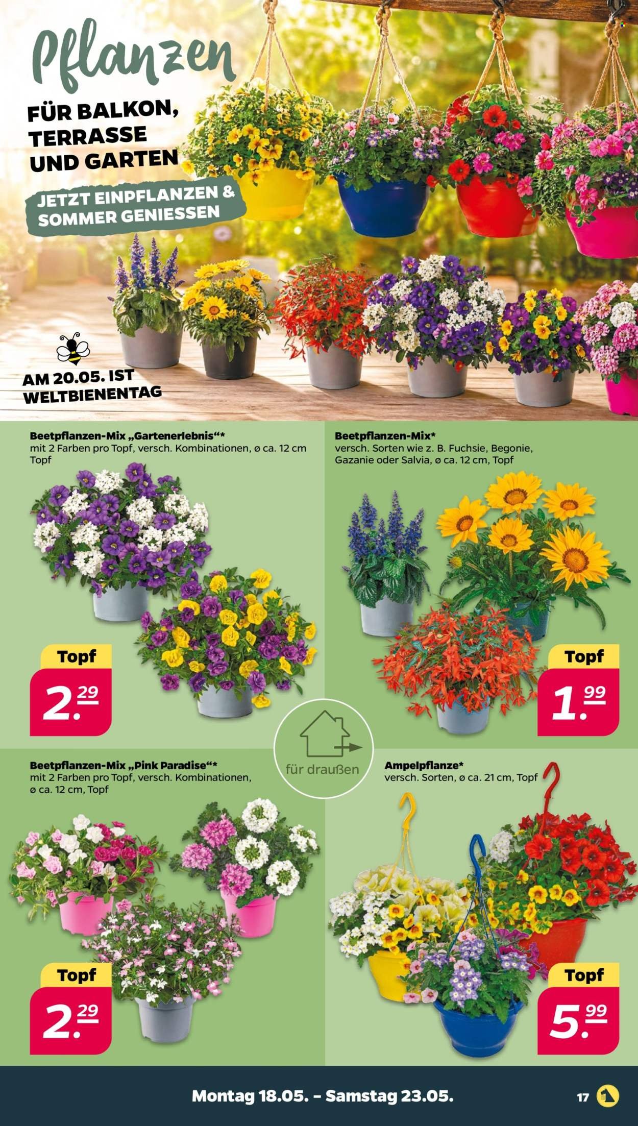 NETTO Prospekt - Woche 21 (2026-05-18 - 2026-05-23)