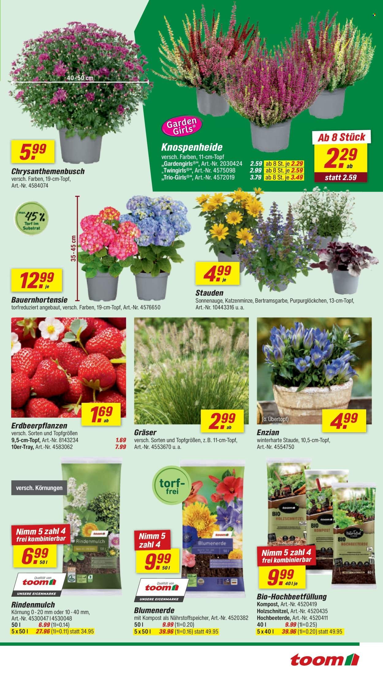 TOOM BAUMARKT Prospekt - Ab Samstag 8.08.2026
