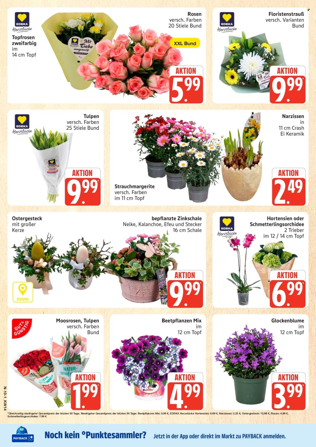 MARKTKAUF Prospekt - Ab Montag 30.03.2026 (2026-03-30 - 2026-04-04)