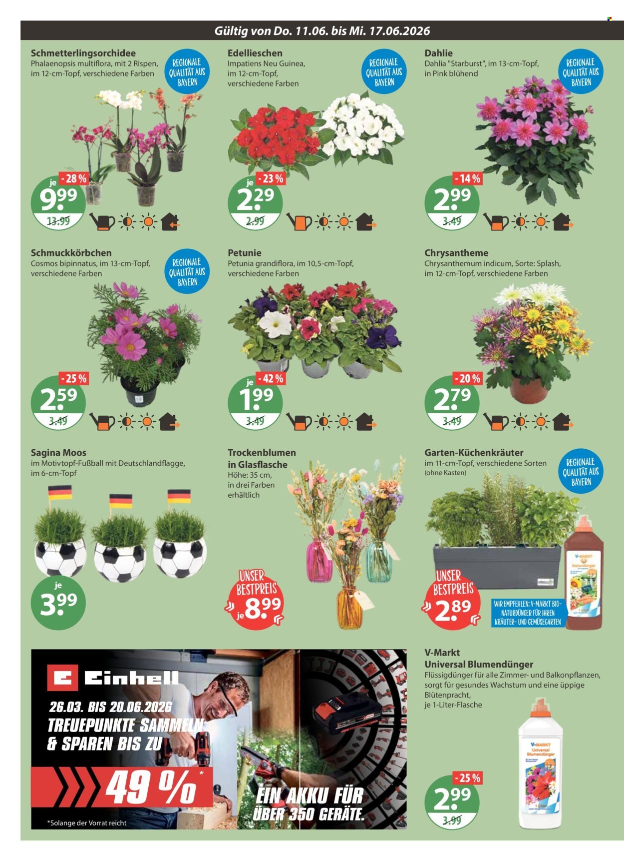 V-MARKT Prospekt - Ab Donnerstag 11.06.2026