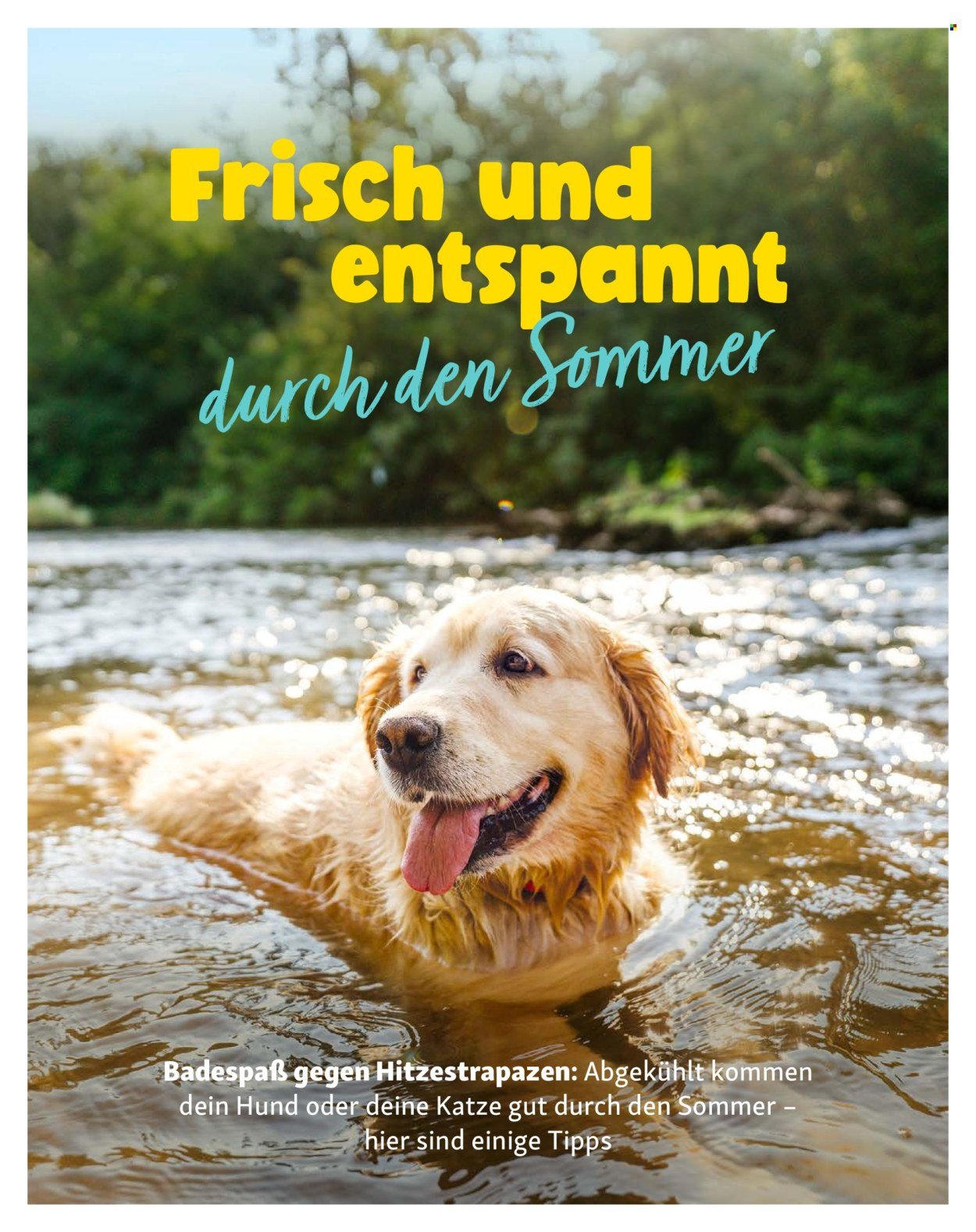 FRESSNAPF Prospekt - Ab Mittwoch 1.07.2026