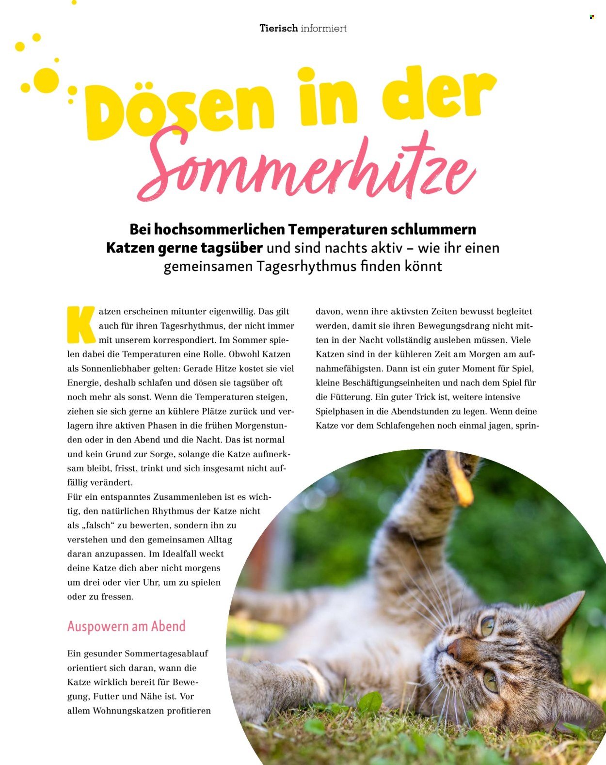 FRESSNAPF Prospekt - Ab Mittwoch 1.07.2026