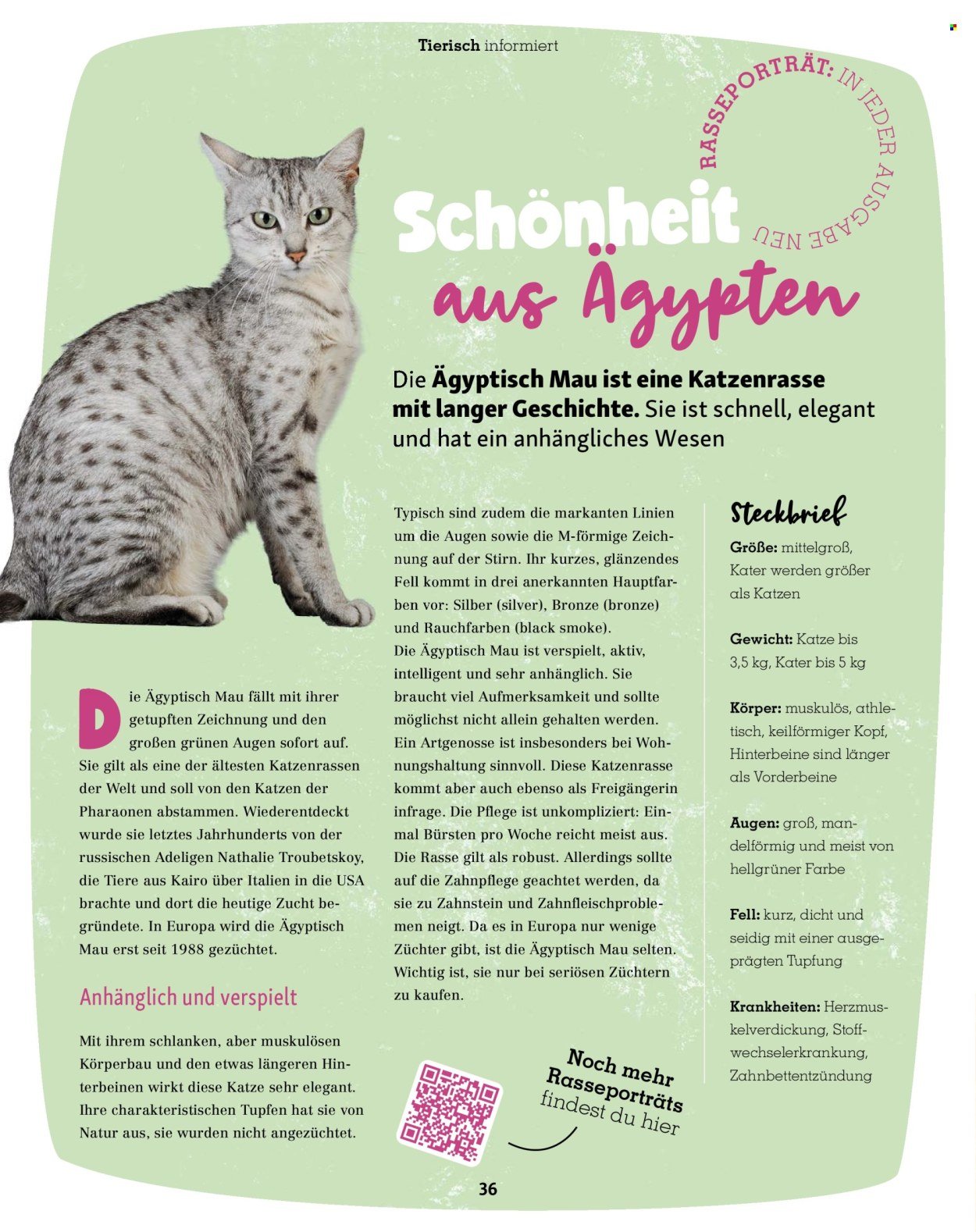 FRESSNAPF Prospekt - Ab Mittwoch 1.07.2026
