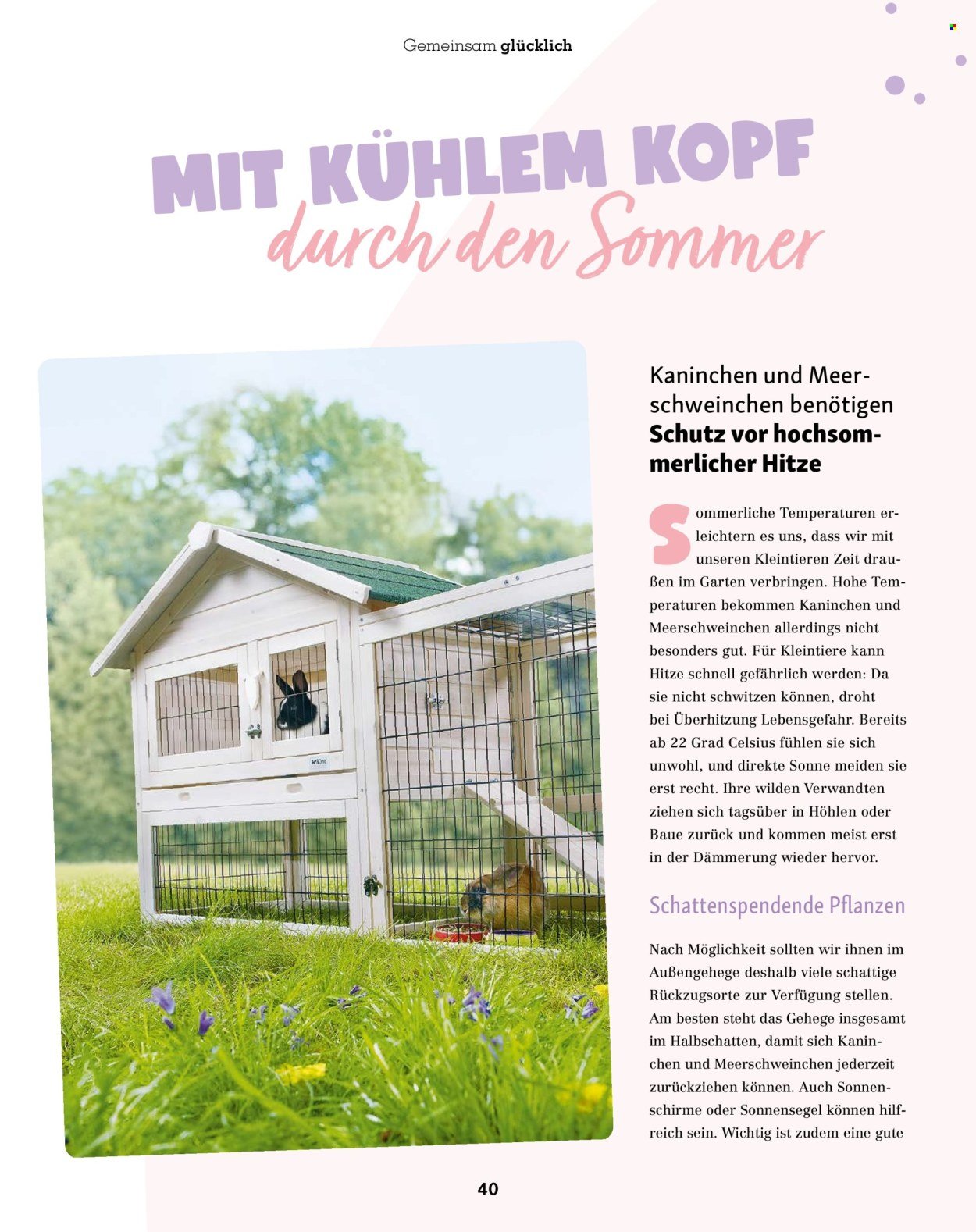 FRESSNAPF Prospekt - Ab Mittwoch 1.07.2026