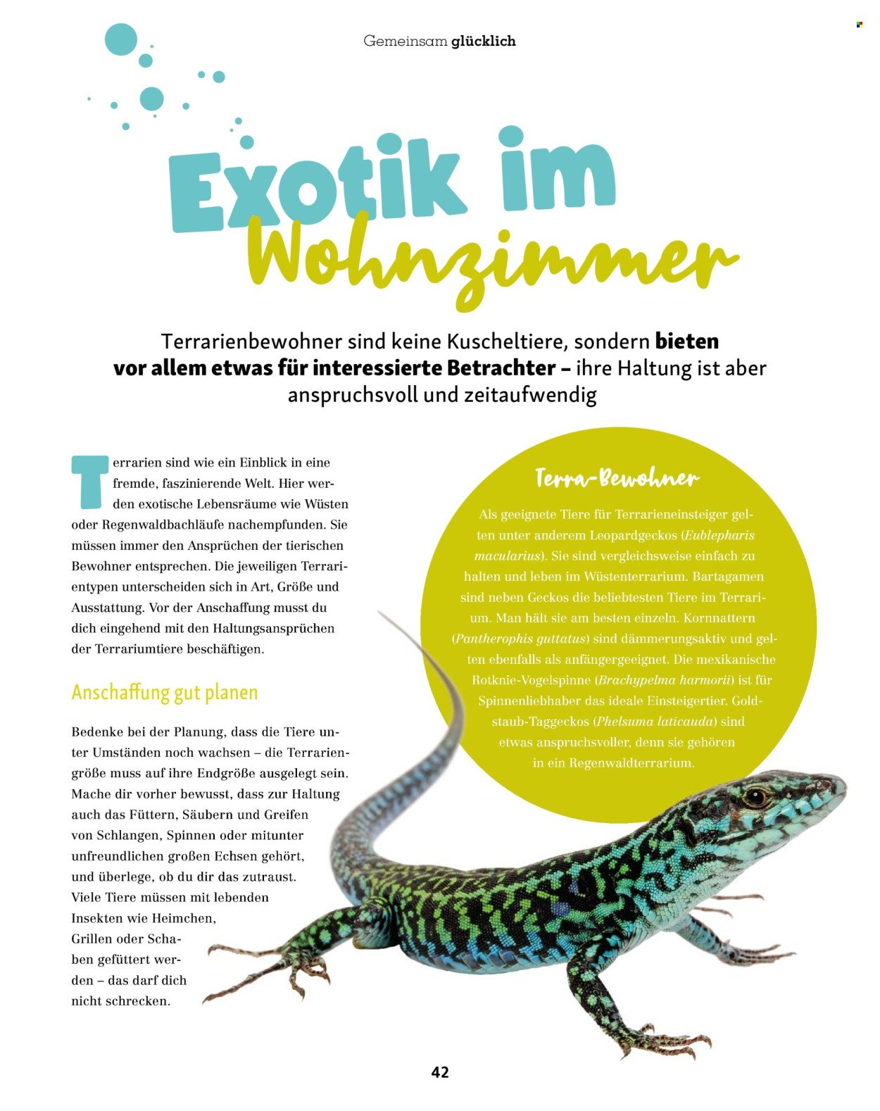 FRESSNAPF Prospekt - Ab Mittwoch 1.07.2026