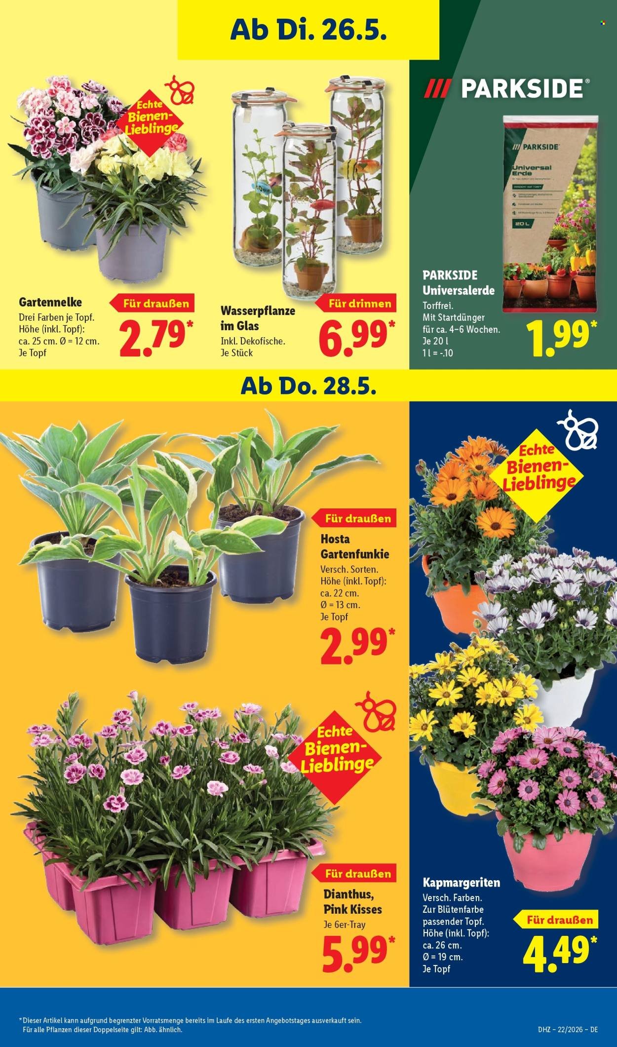 LIDL Prospekt - Ab Dienstag 26.05.2026 (2026-05-26 - 2026-05-30)