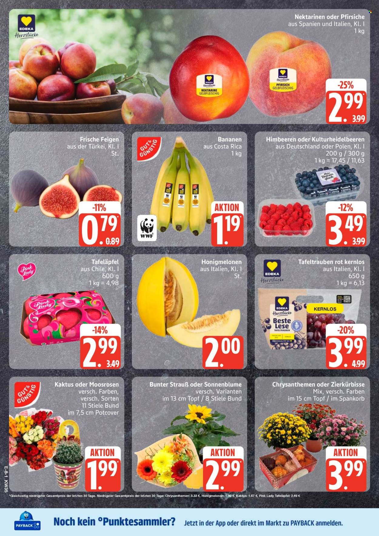 EDEKA Prospekt - Ab Montag 24.08.2026