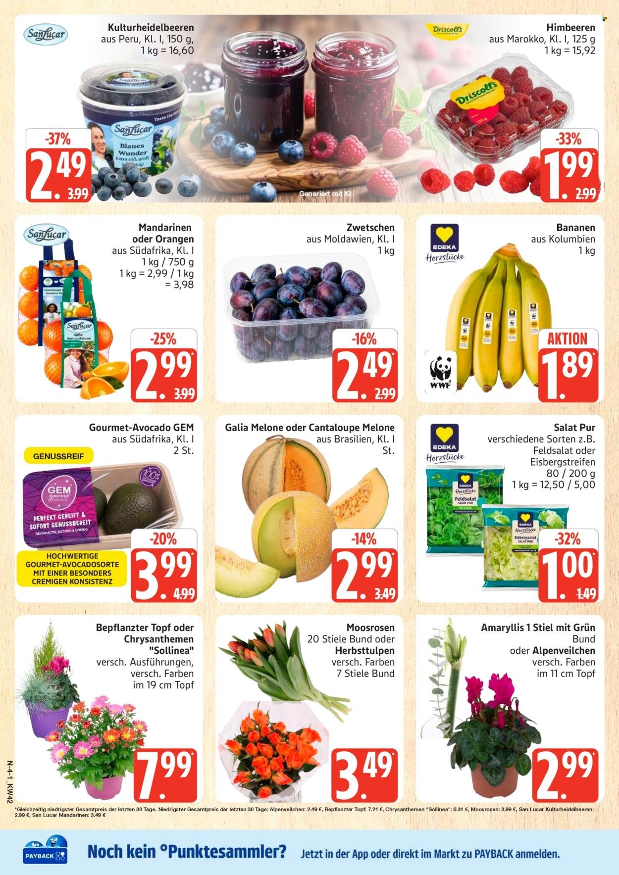 MARKTKAUF Prospekt - Ab Montag 12.10.2026