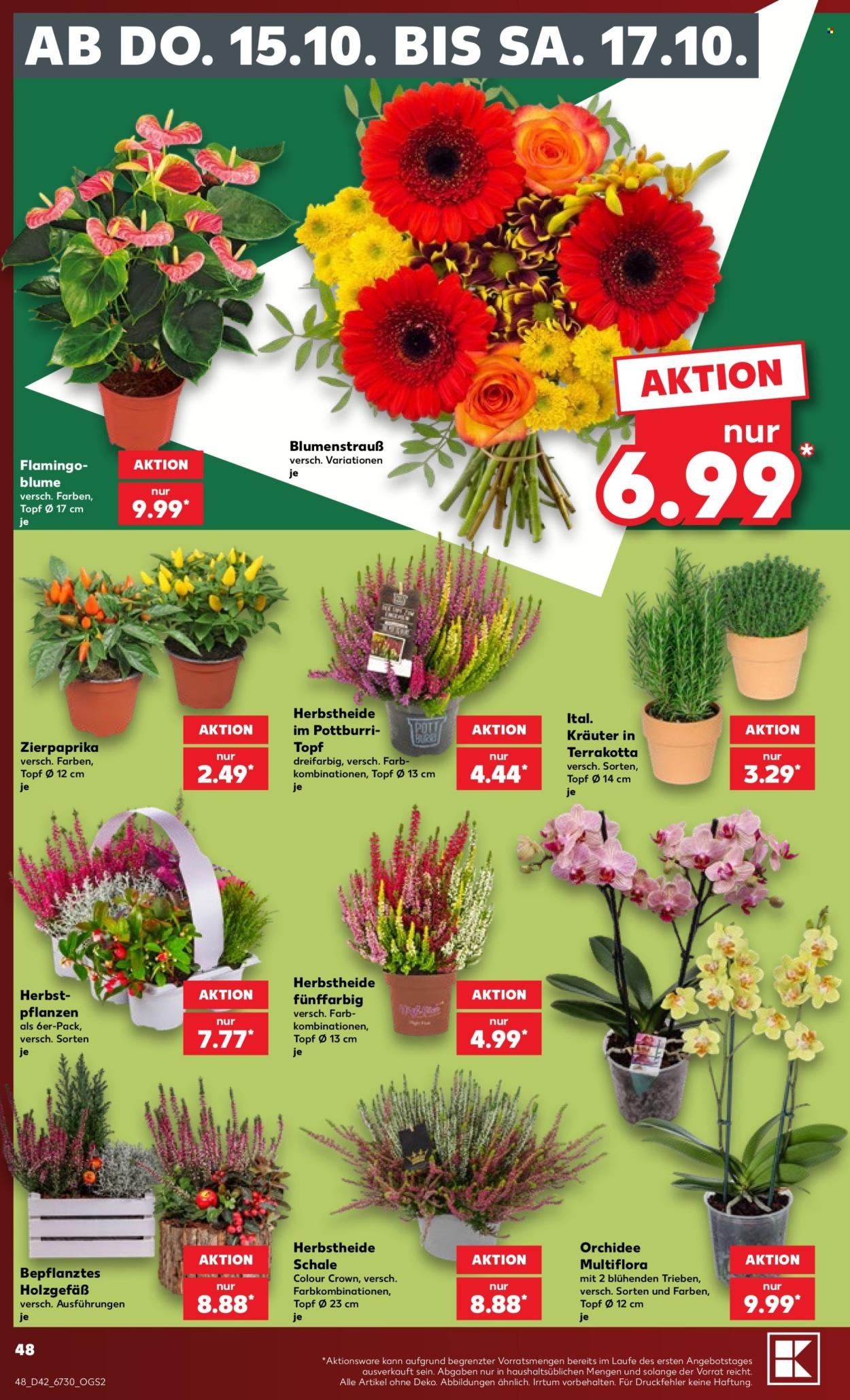KAUFLAND Prospekt - Ab Montag 12.10.2026
