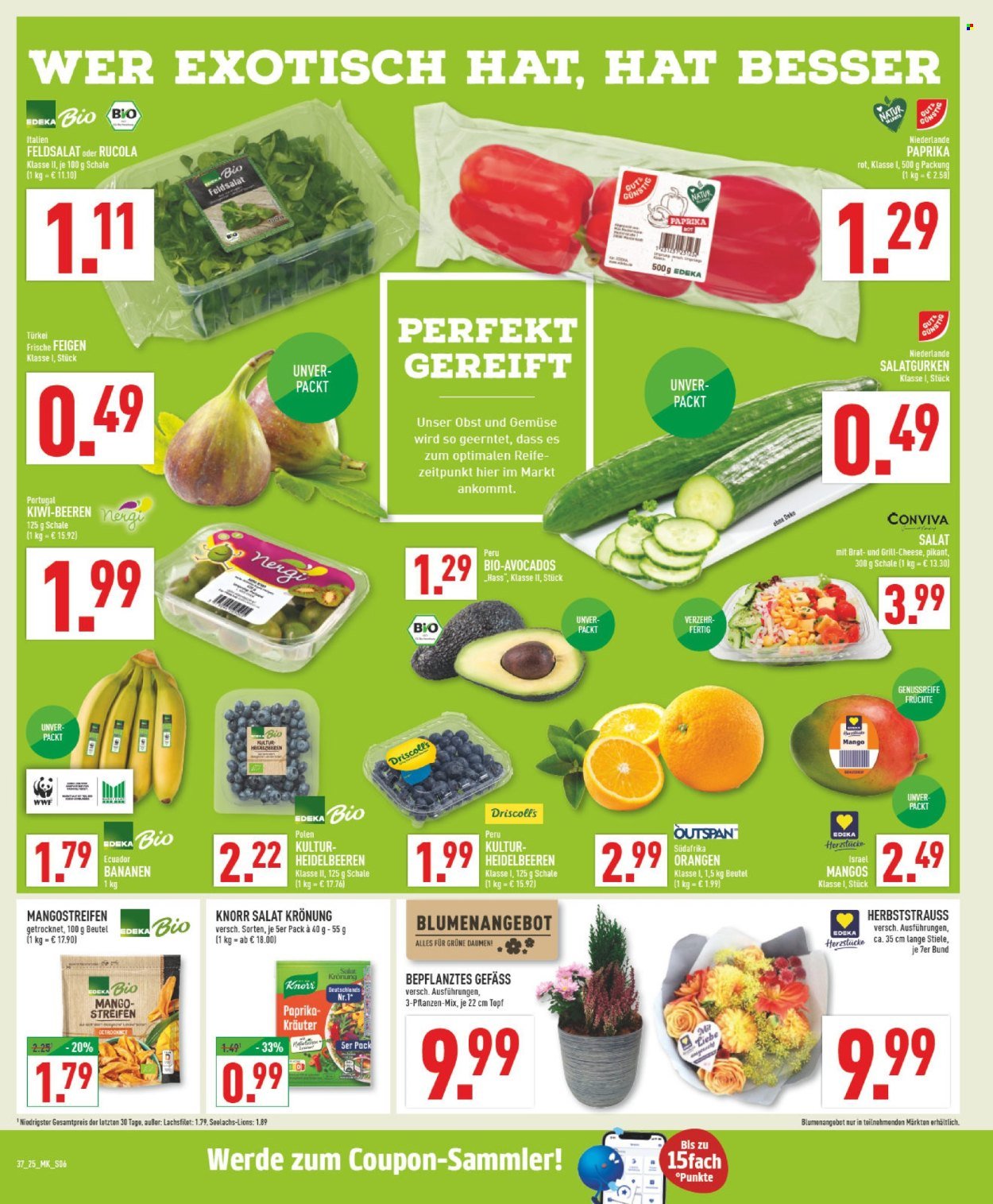 MARKTKAUF Prospekt - Ab Montag 8.09.2025 (2025-09-08 - 2025-09-13) | 6