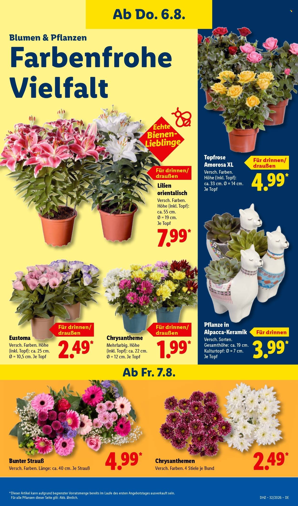 LIDL Prospekt - Ab Montag 3.08.2026