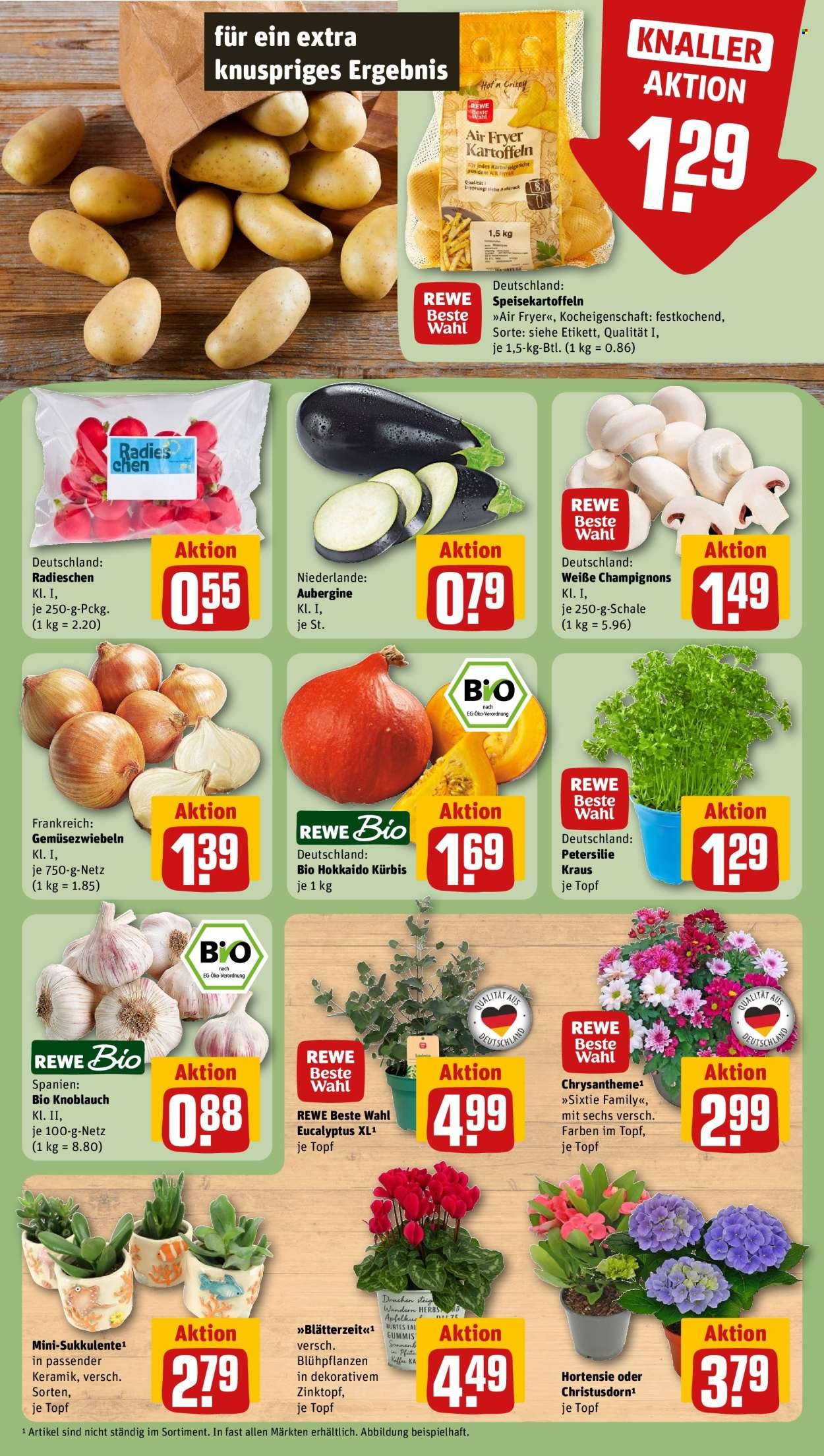 REWE Prospekt - Ab Montag 24.08.2026