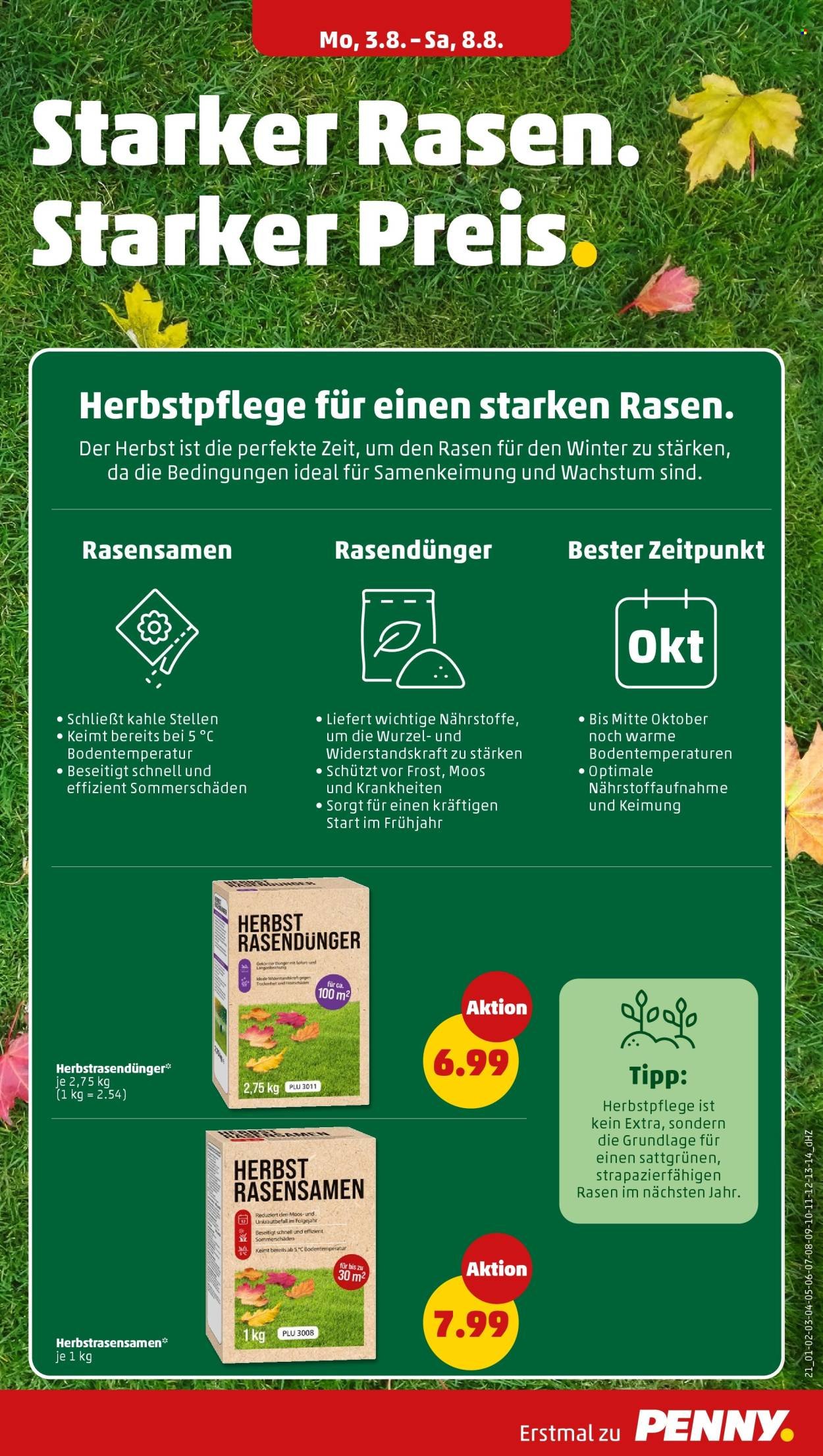 PENNY Prospekt - Ab Montag 3.08.2026