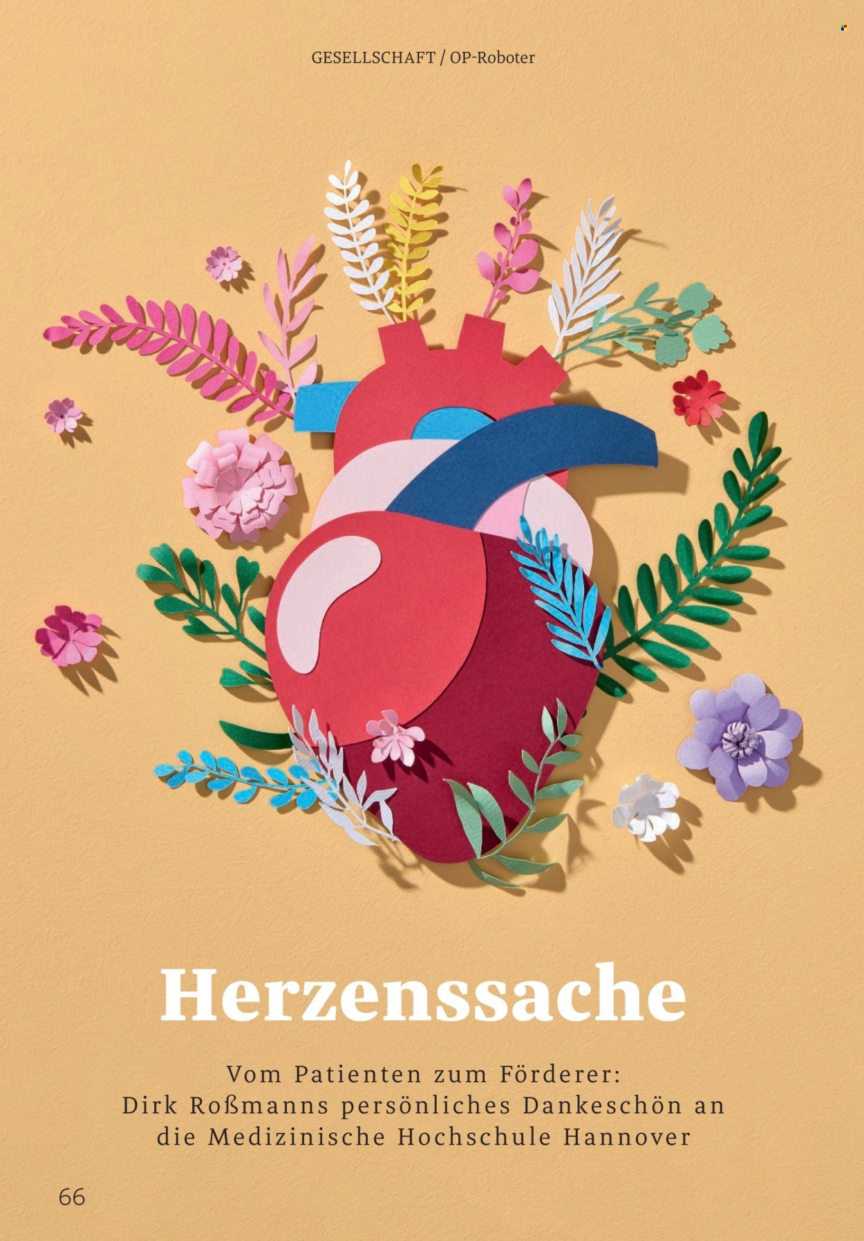 ROSSMANN Prospekt - Centaur