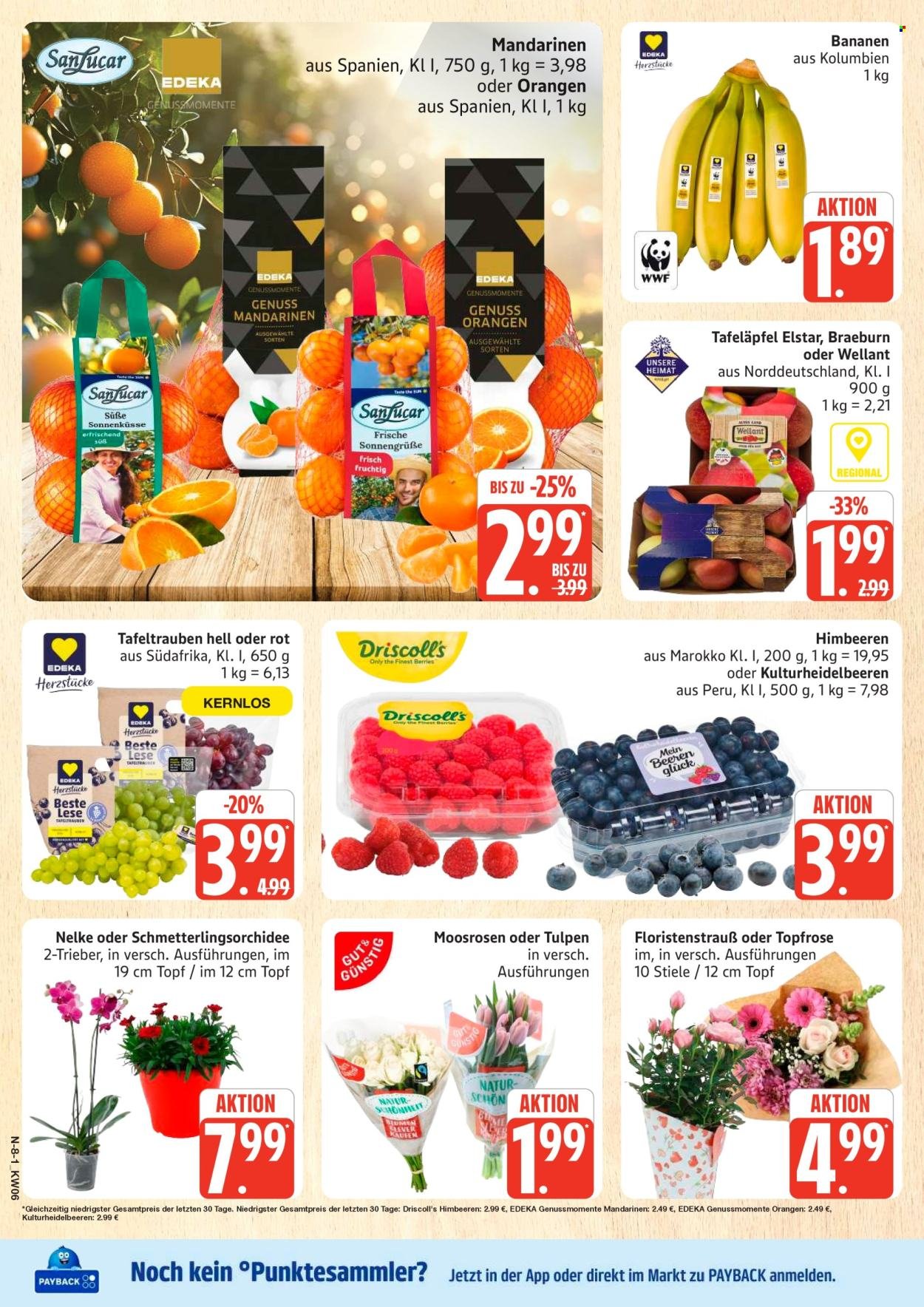 MARKTKAUF Prospekt - Ab Montag 2.02.2026