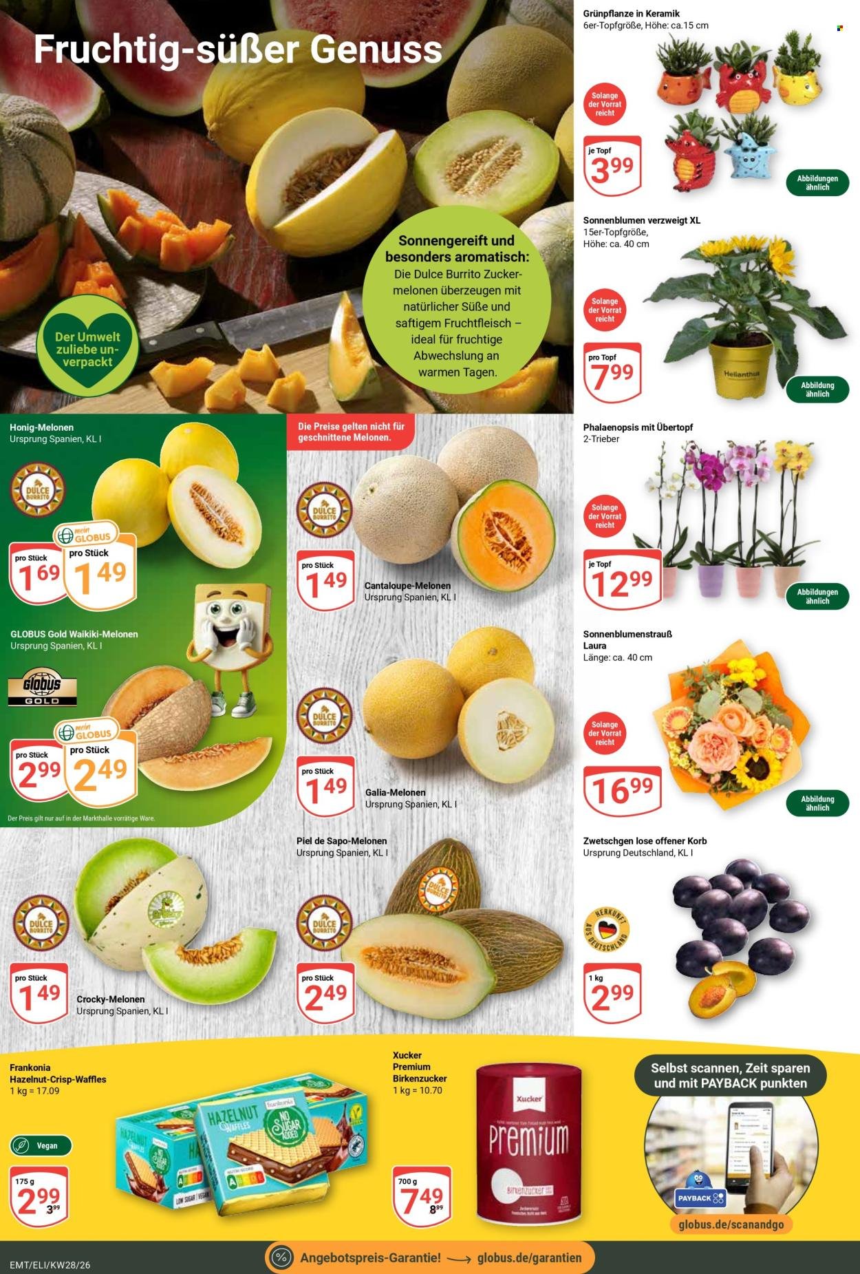 GLOBUS Prospekt - Ab Montag 6.07.2026