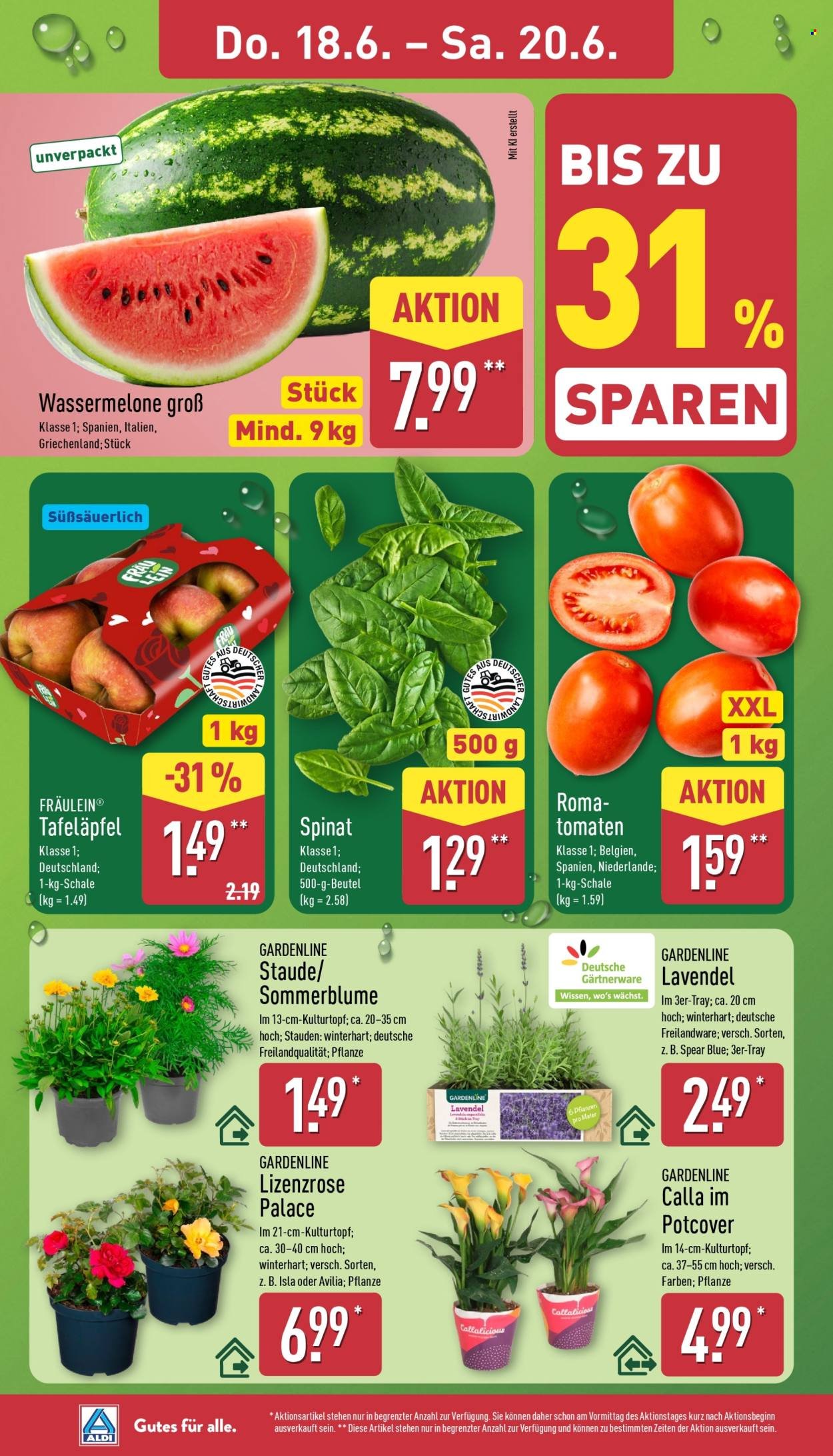 ALDI NORD Prospekt - Französische Woche