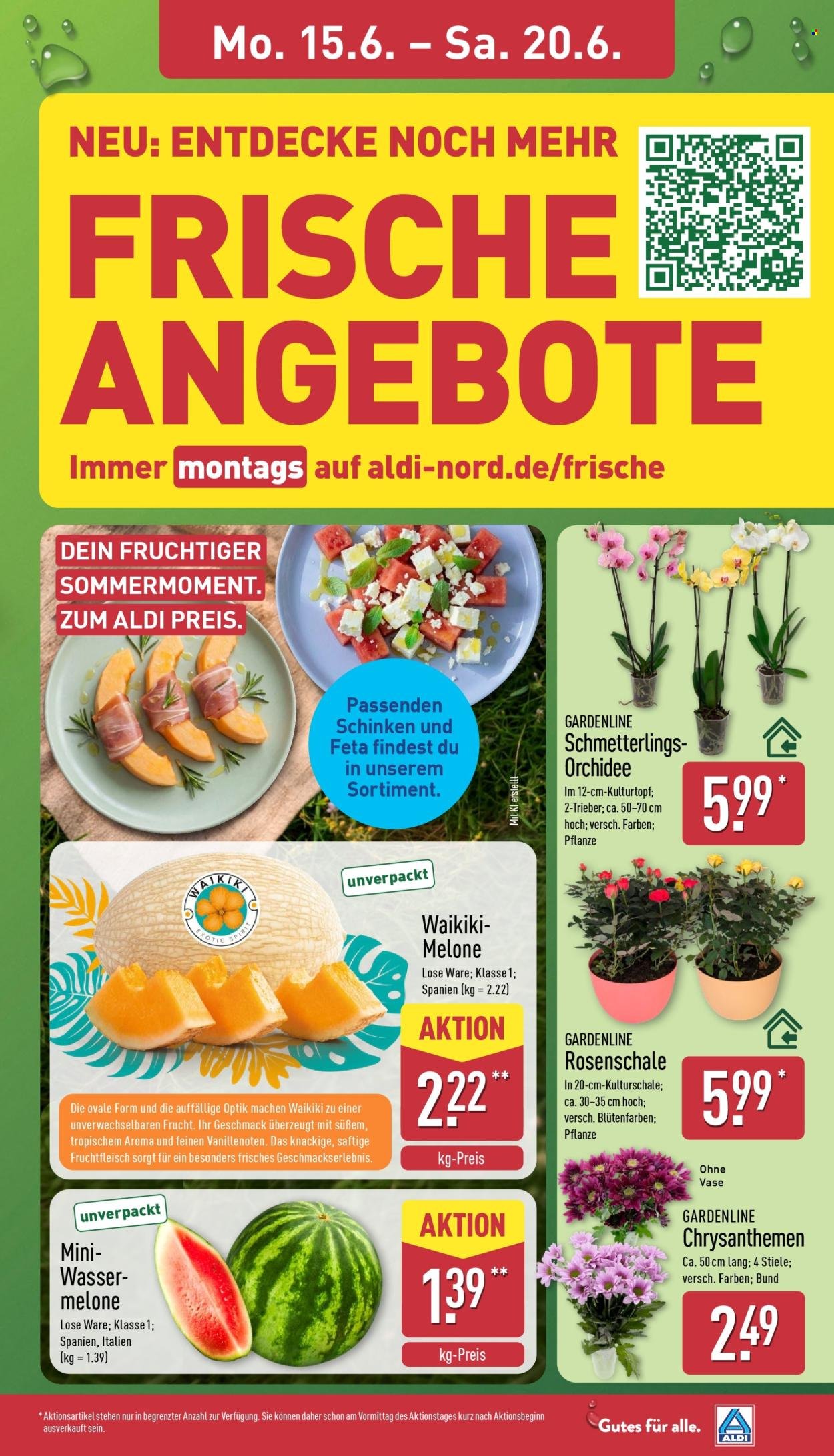 ALDI NORD Prospekt - Französische Woche