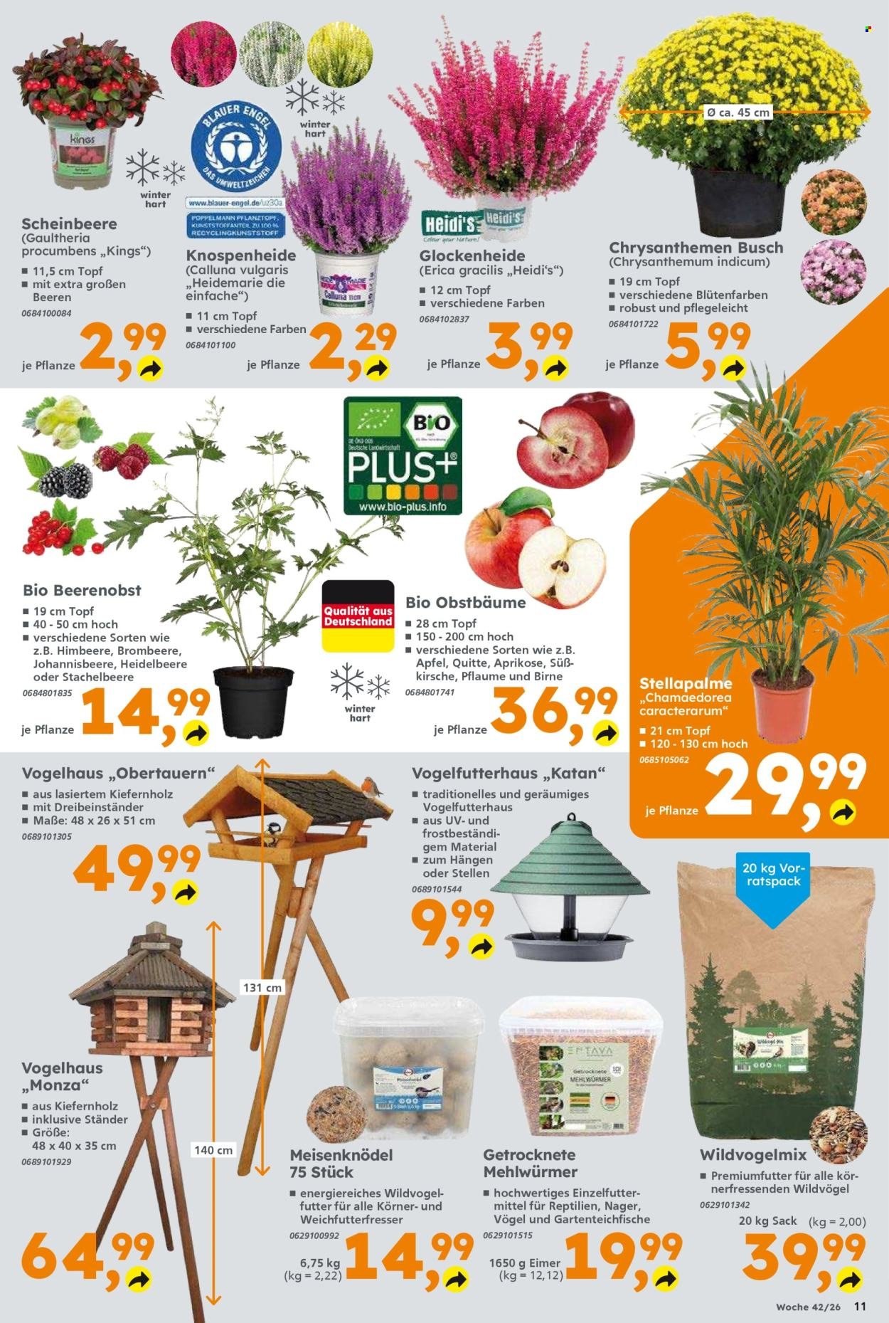 GLOBUS BAUMARKT Prospekt - Ab Montag 12.10.2026