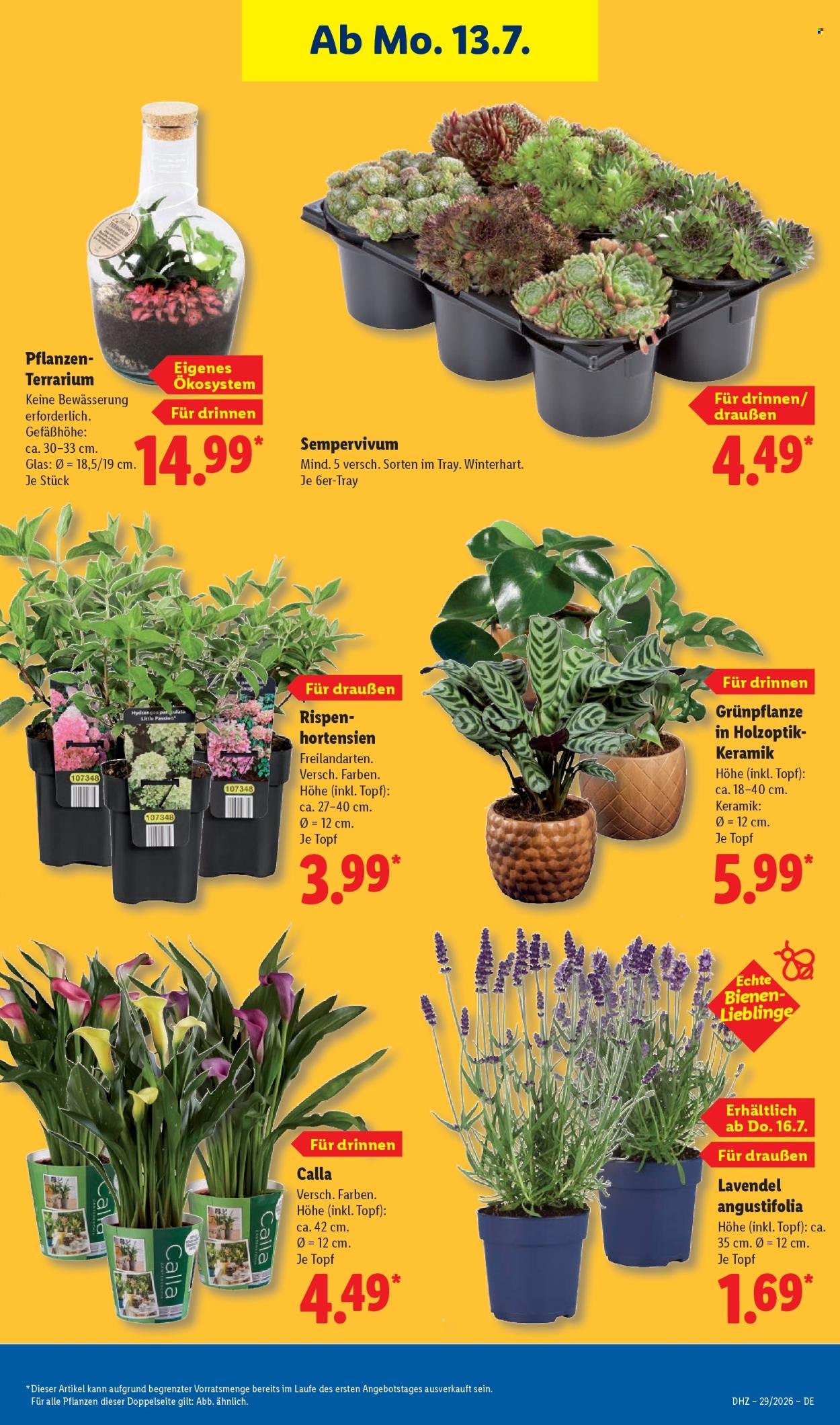 LIDL Prospekt - Ab Montag 13.07.2026