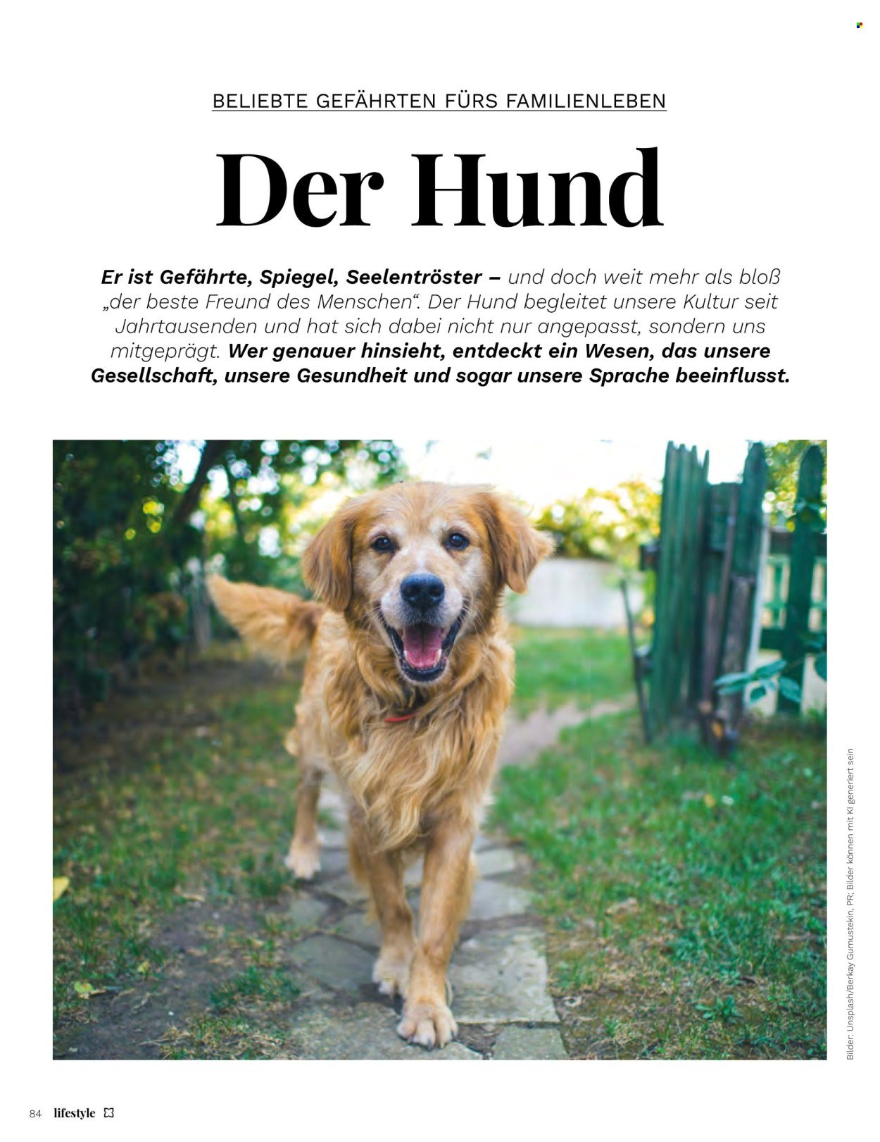 MÜLLER Prospekt - Lifestyle