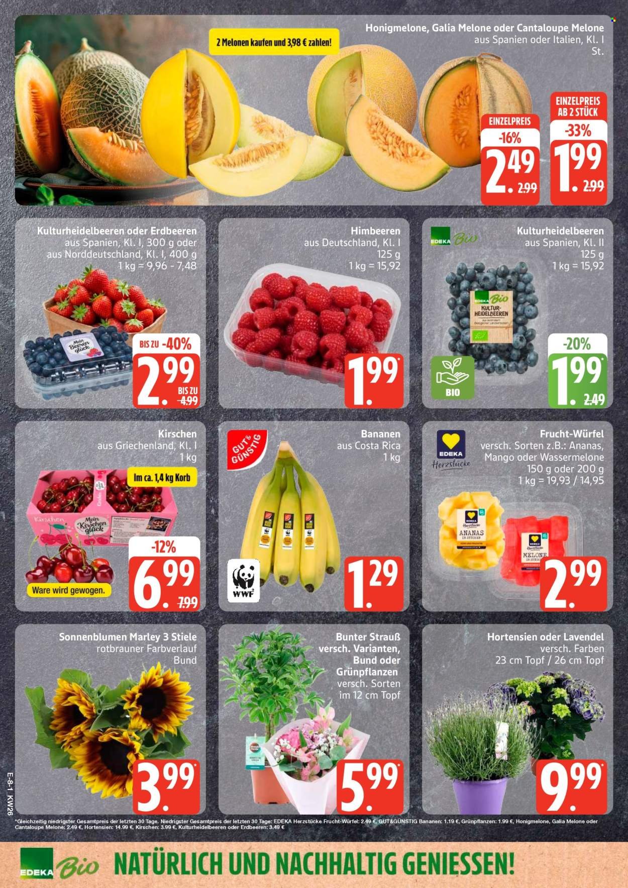EDEKA Prospekt - Ab Montag 22.06.2026