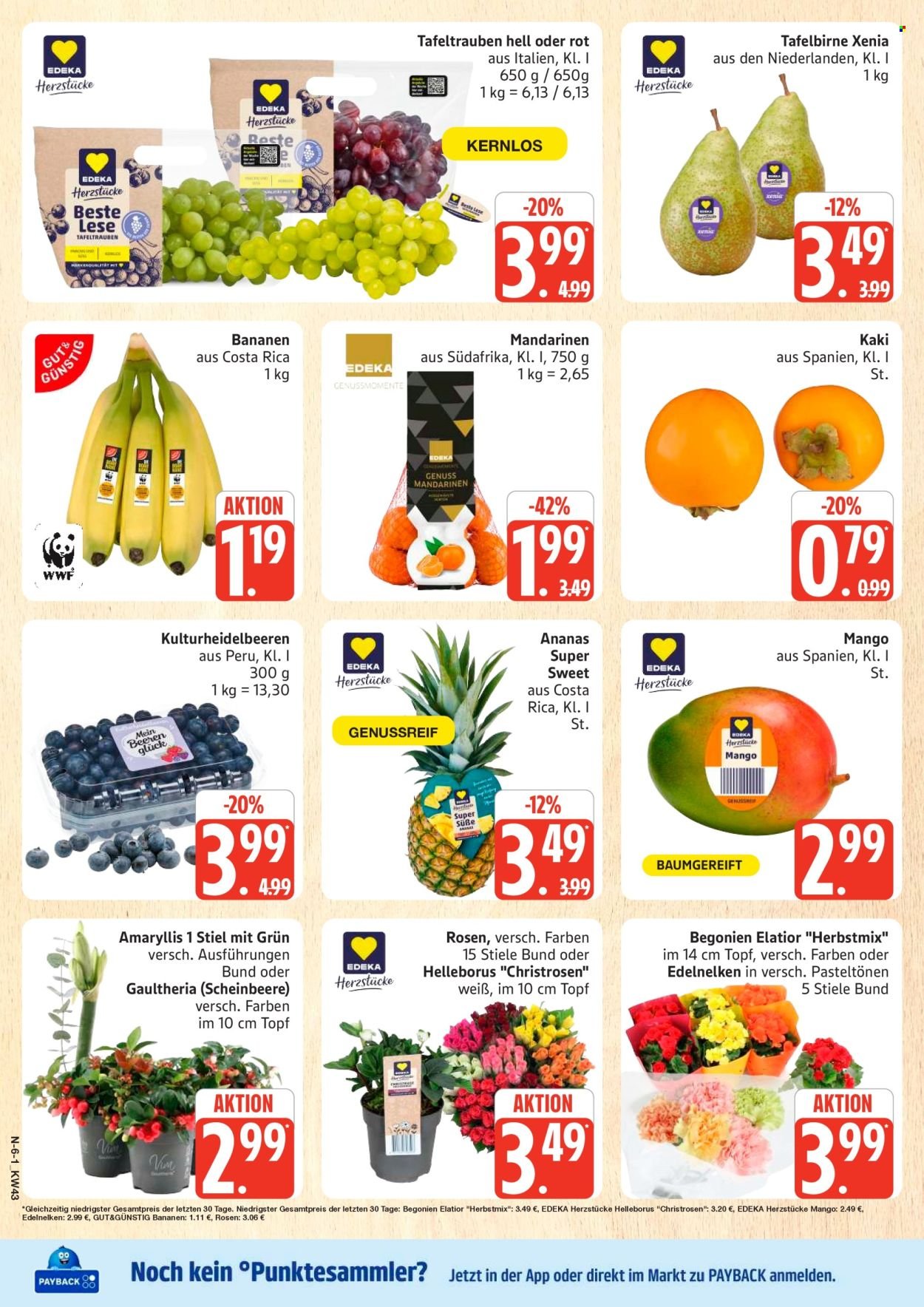 MARKTKAUF Prospekt - Ab Montag 19.10.2026