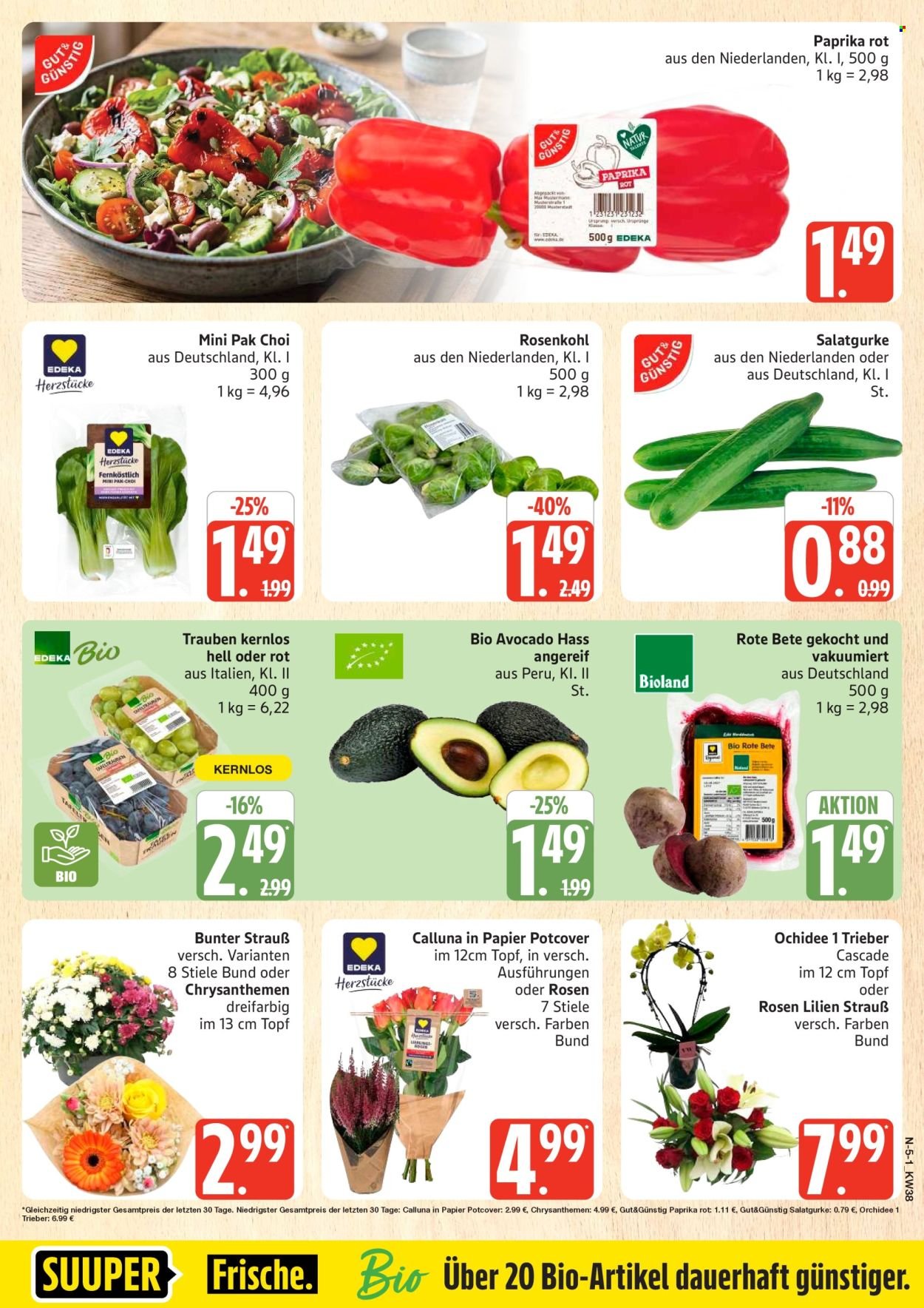MARKTKAUF Prospekt - Ab Montag 14.09.2026