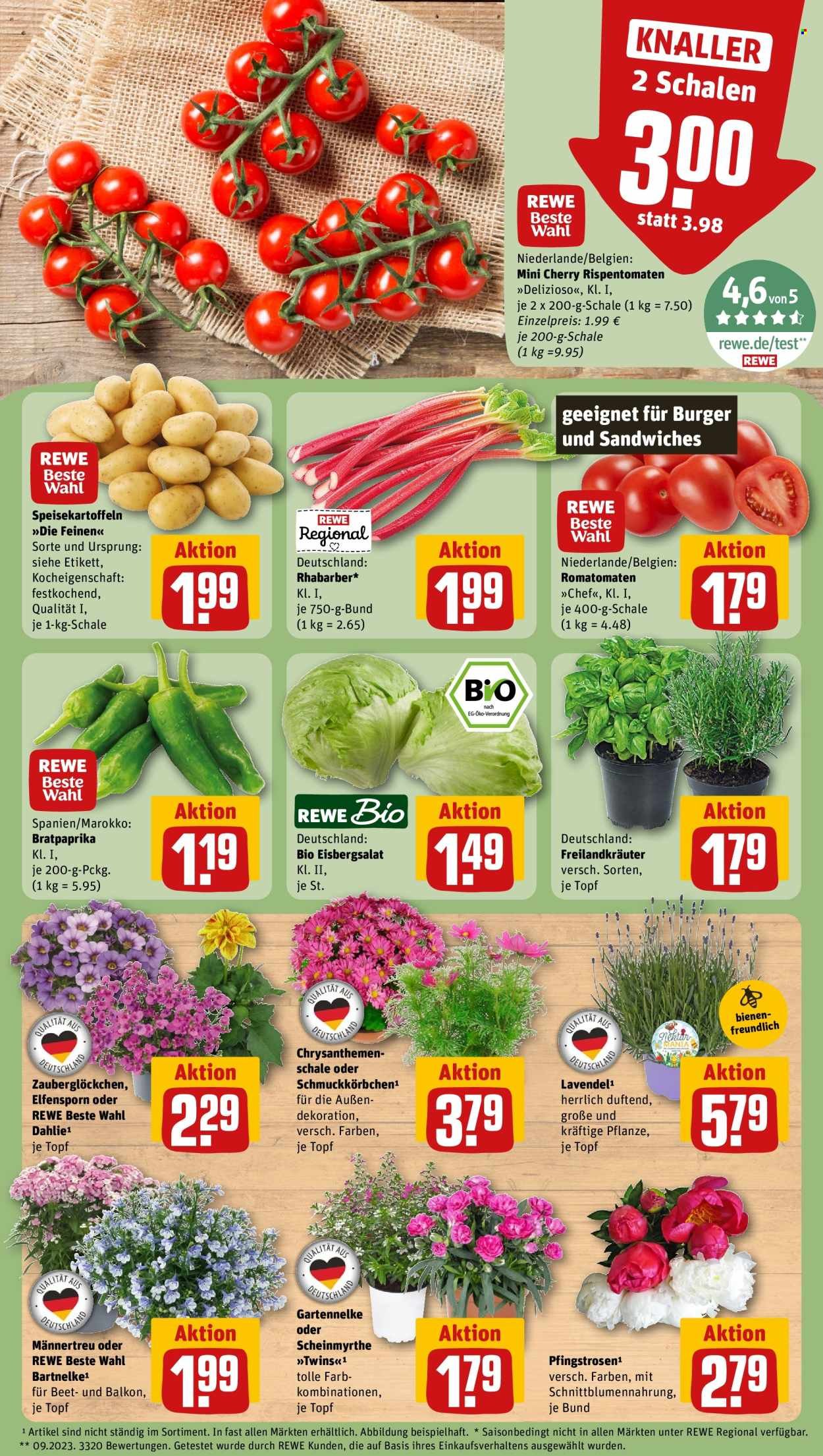 REWE Prospekt - Ab Montag 1.06.2026