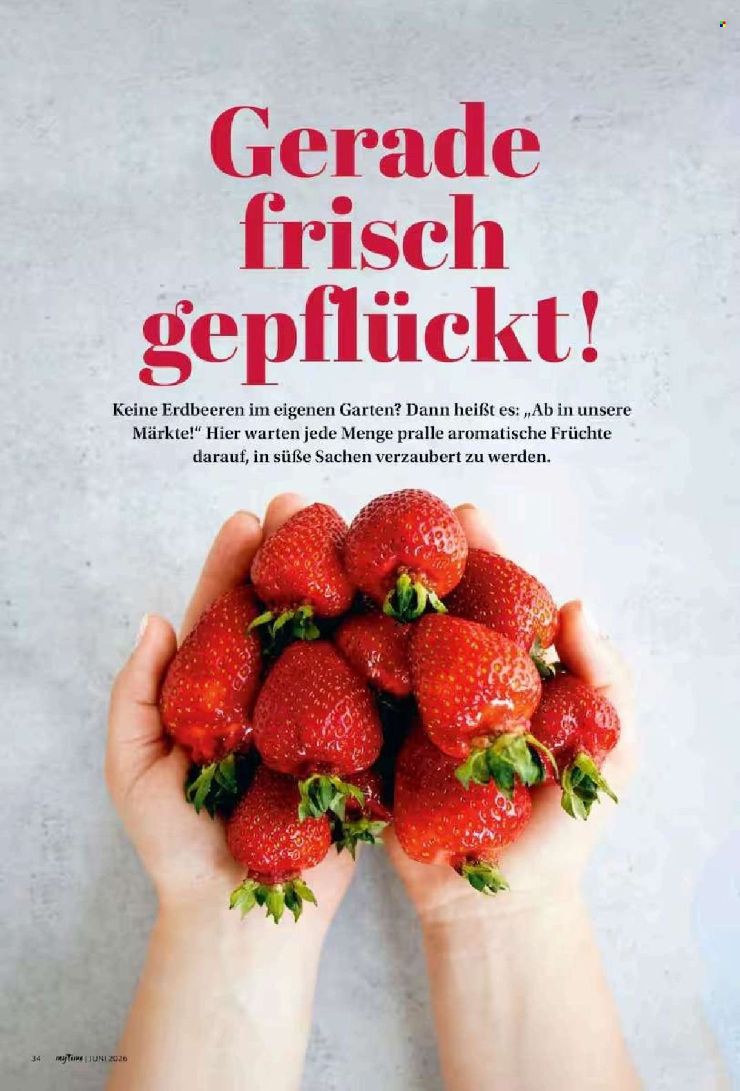 FAMILA Prospekt - myTime Magazin