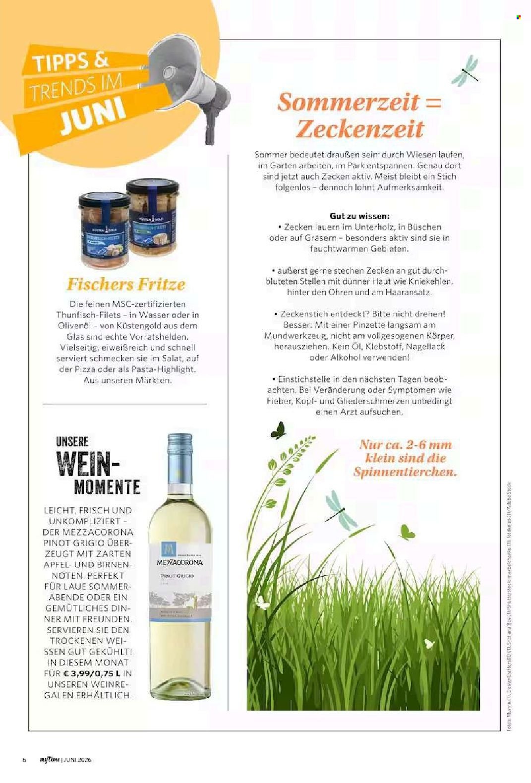 FAMILA Prospekt - myTime Magazin