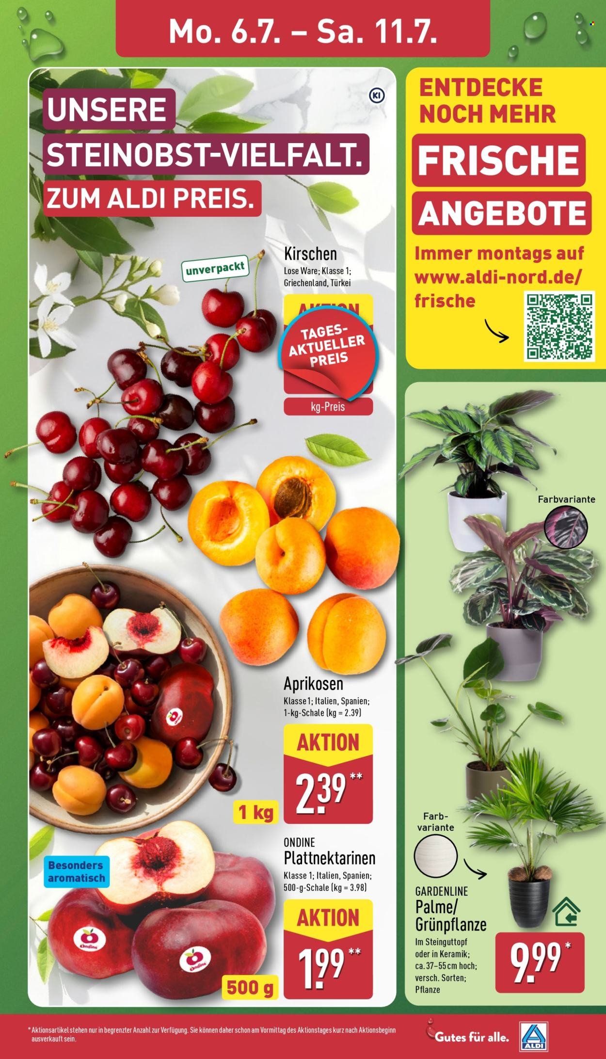ALDI NORD Prospekt - Spanische Woche