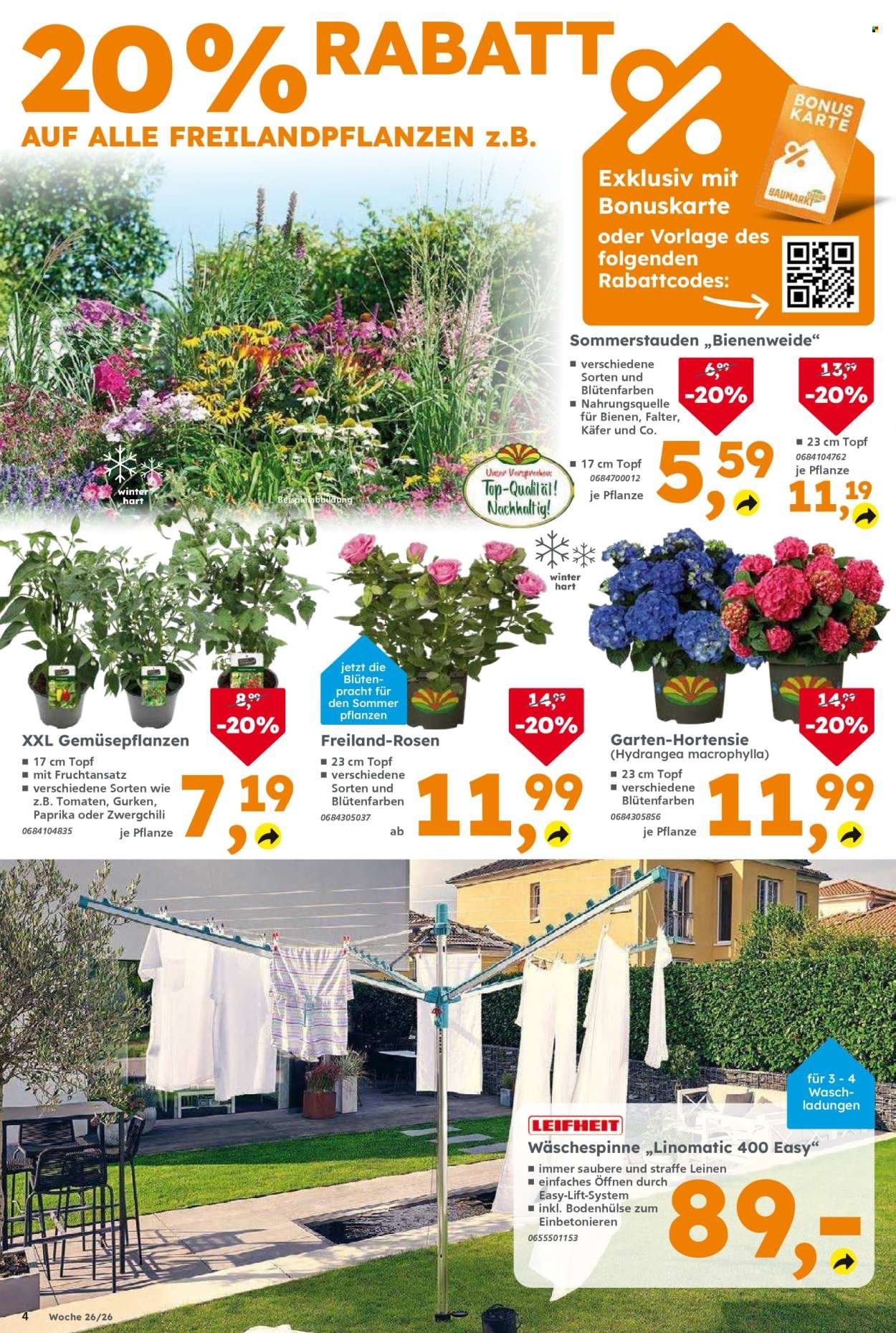 GLOBUS BAUMARKT Prospekt - Ab Montag 22.06.2026